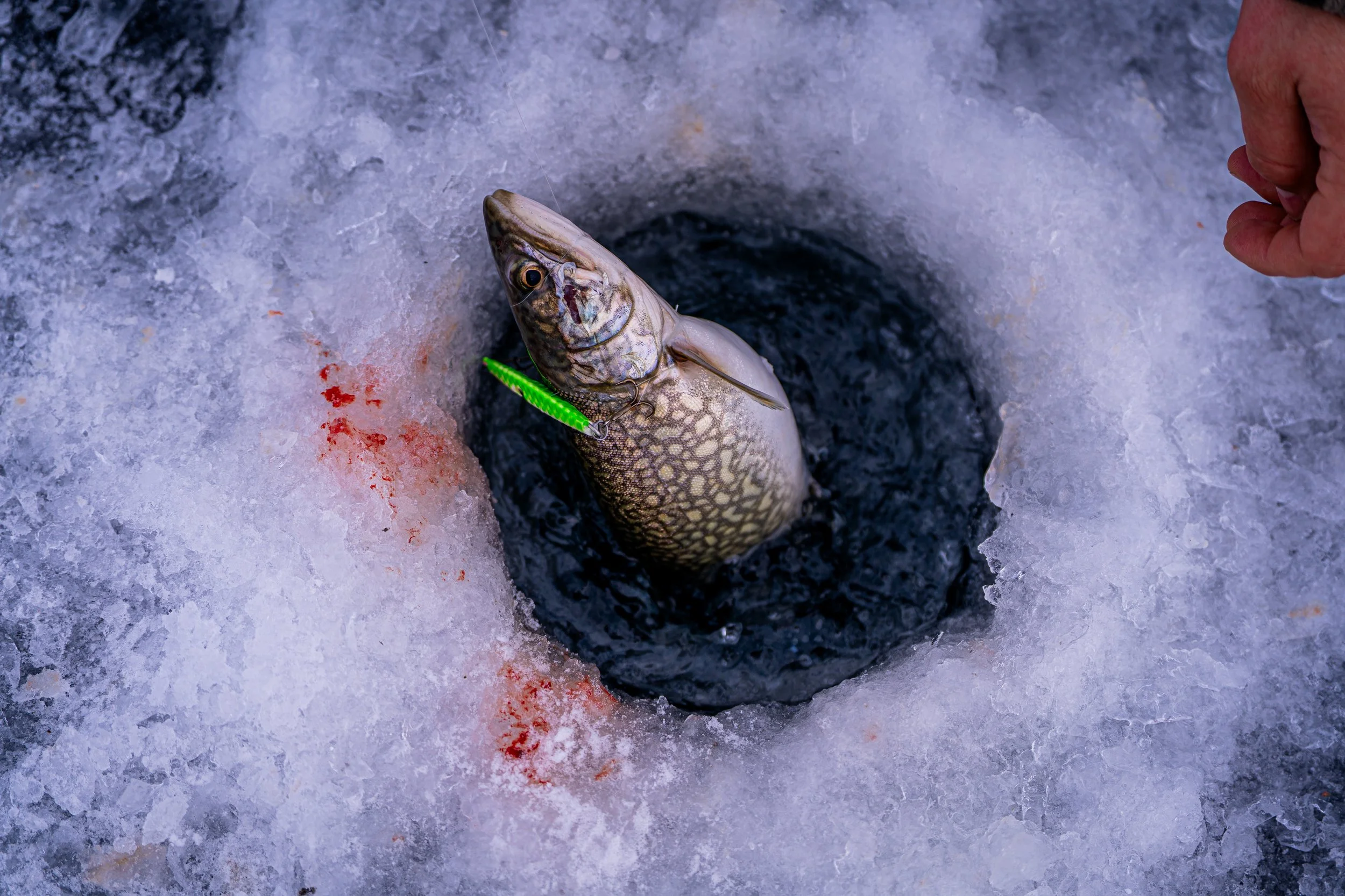 Related Video Item Thumbnail