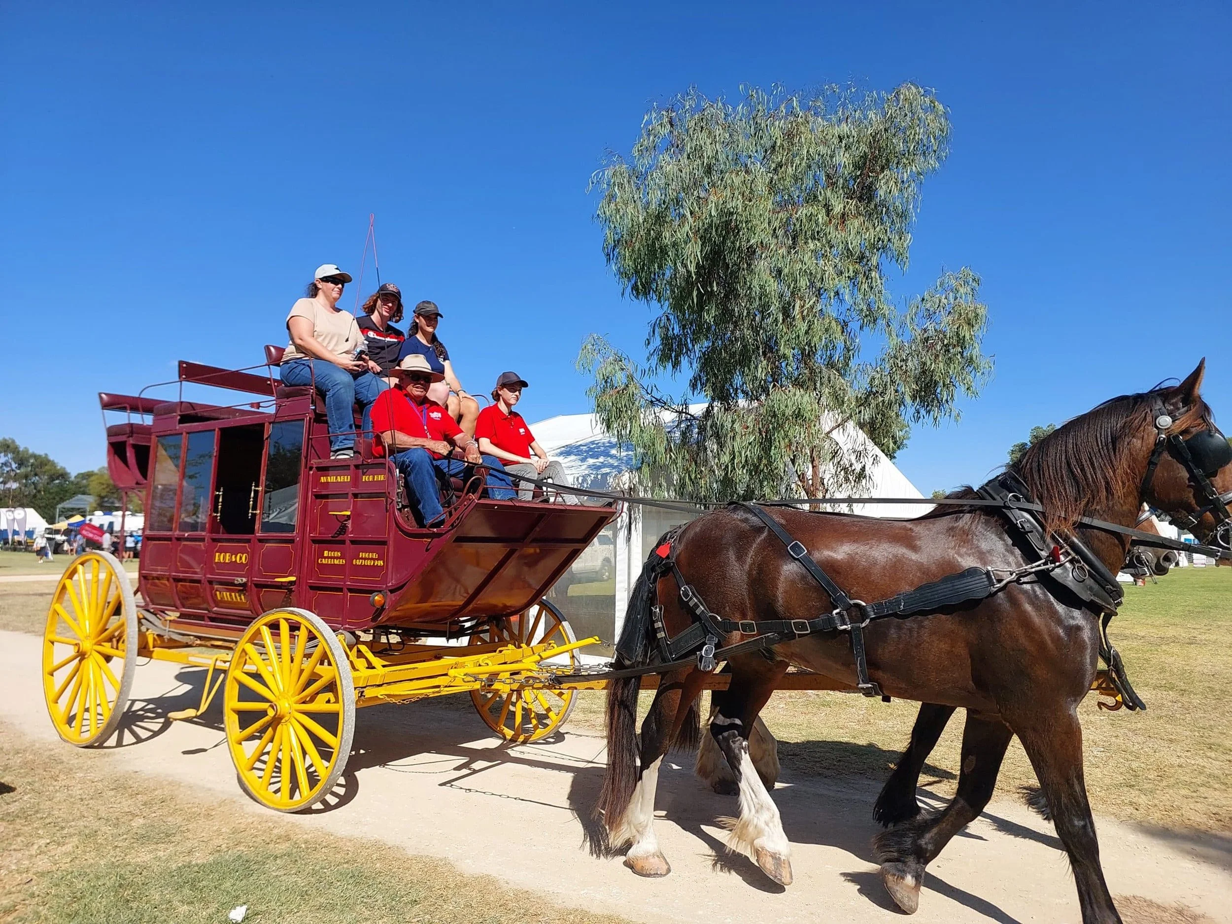 South East Field Days