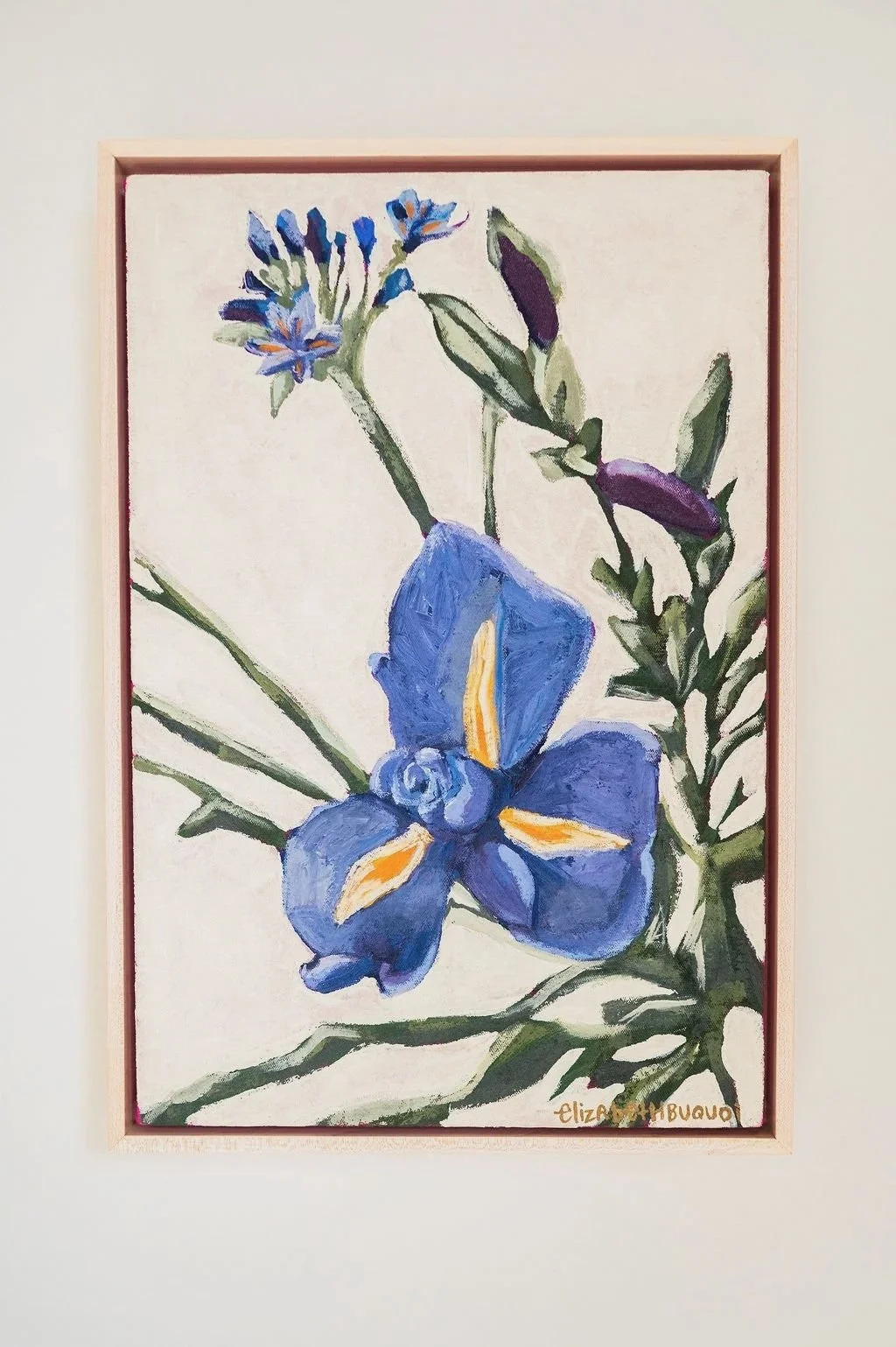 'Blue Iris' 12X18