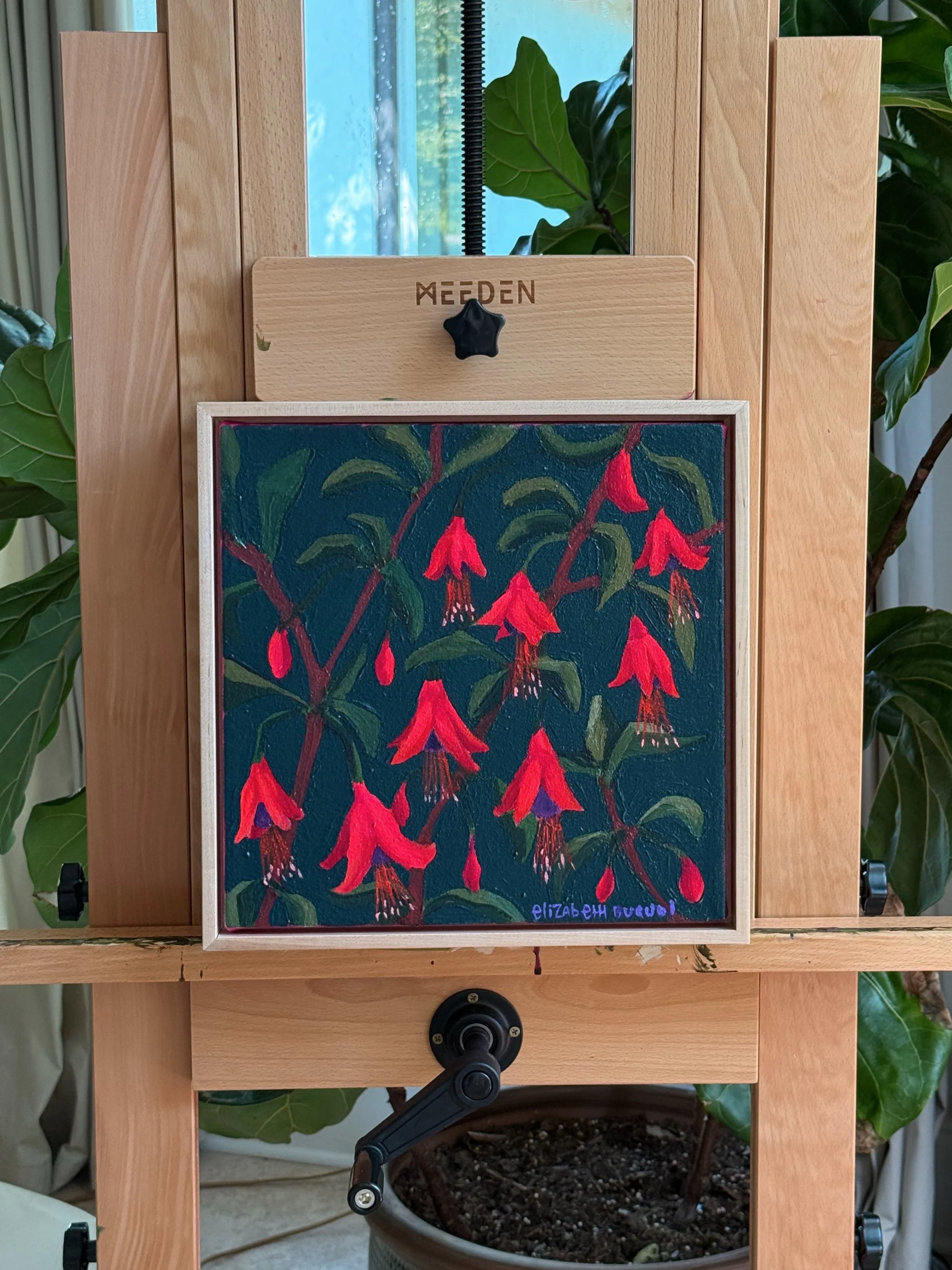 'Wild Fuchsia' 12X12