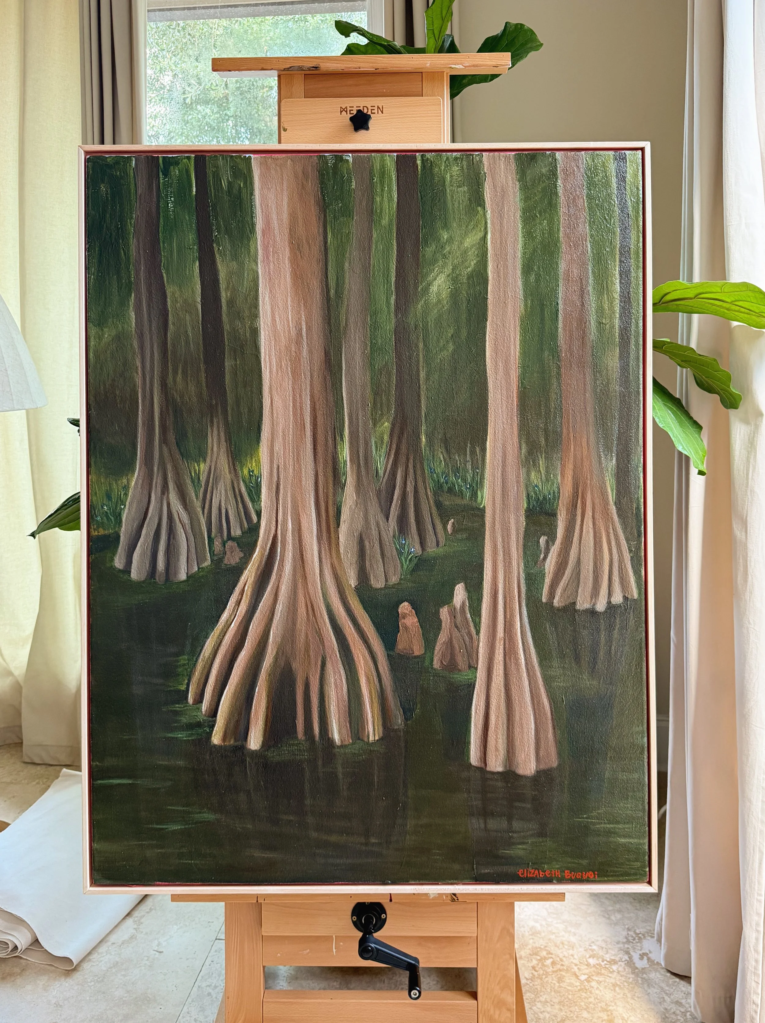 'Bald Cypress ' 36X48
