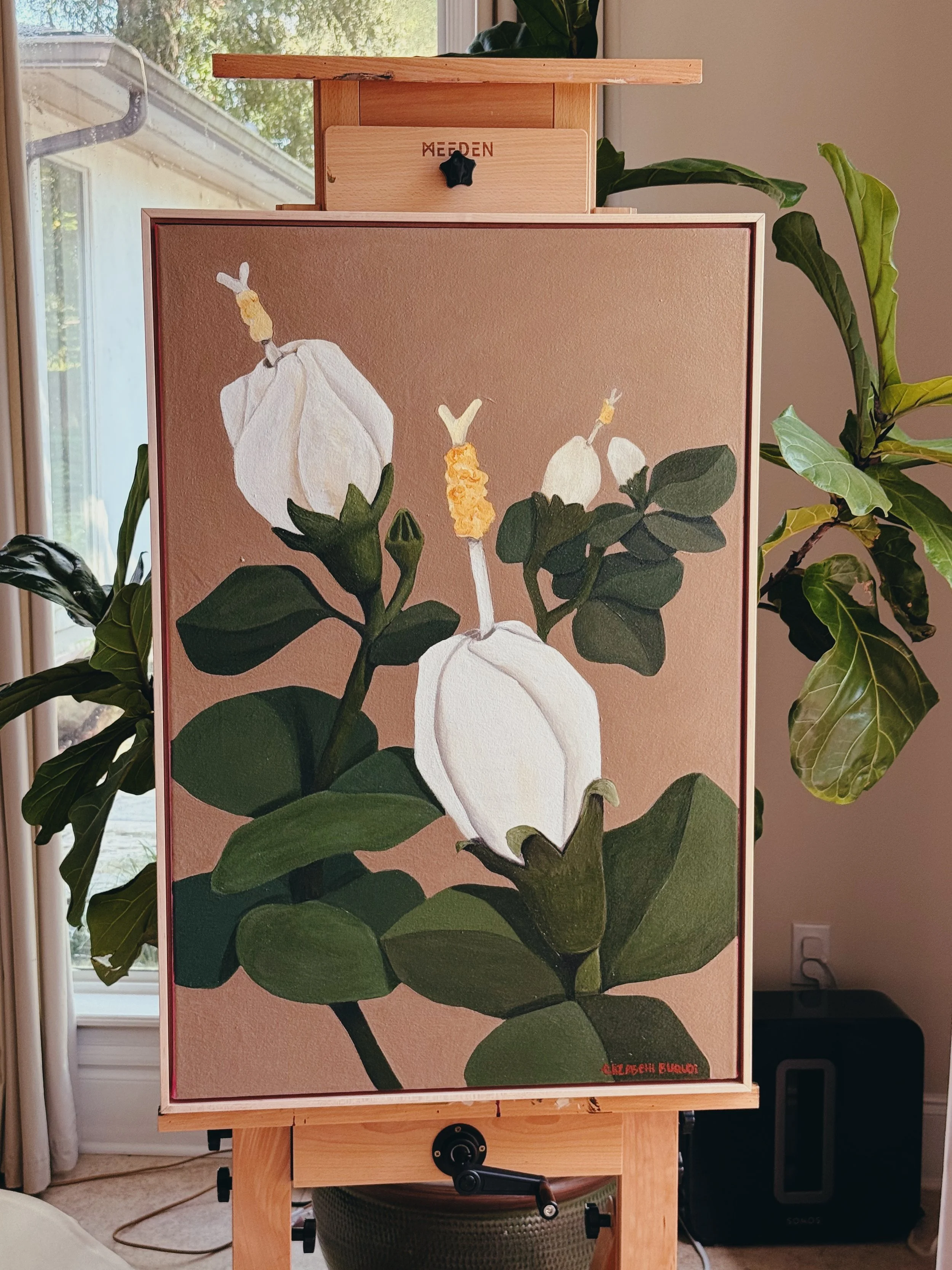 'Turk's Cap' 24X36