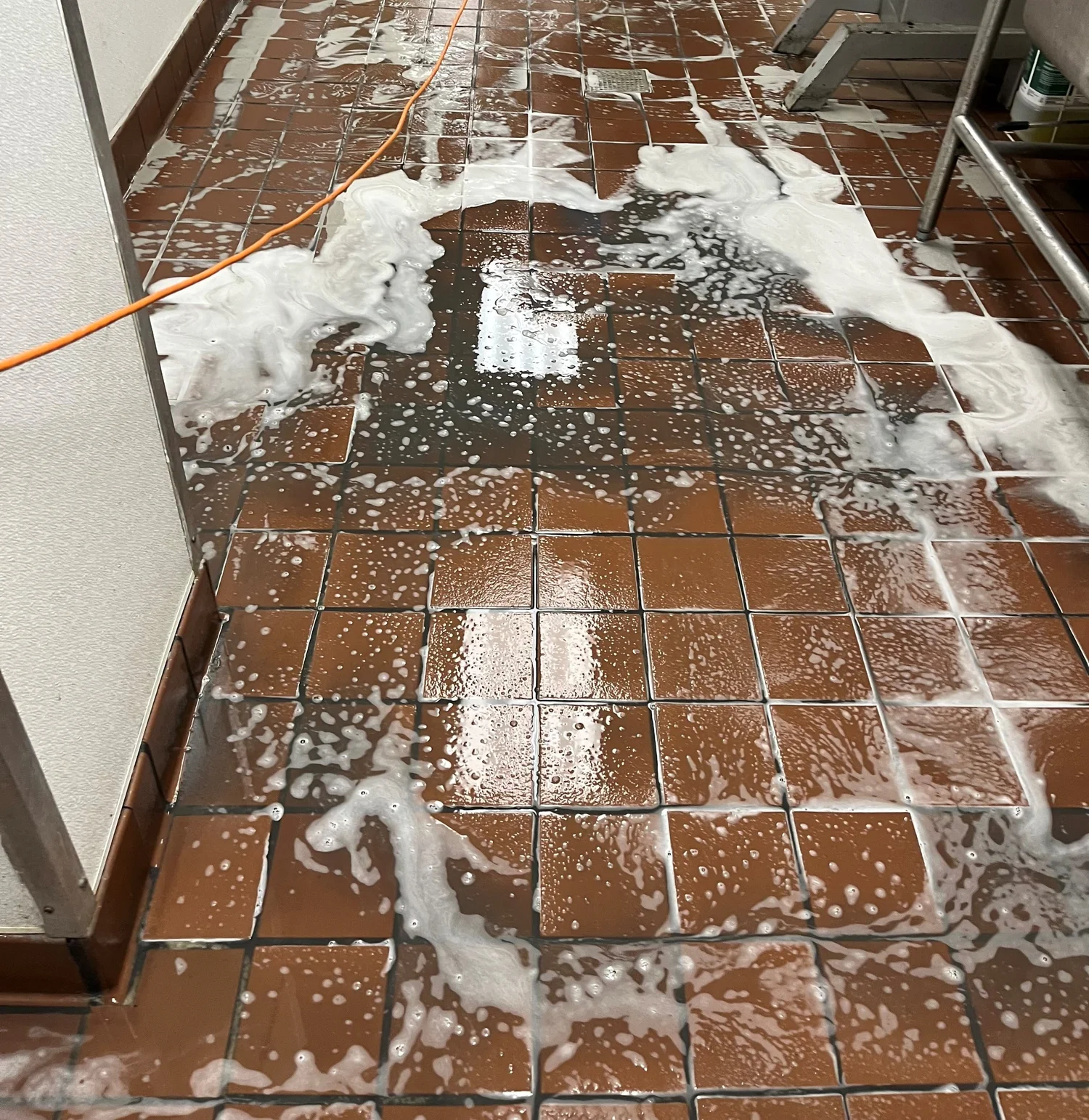 Deep-cleaned tile and grout floor
