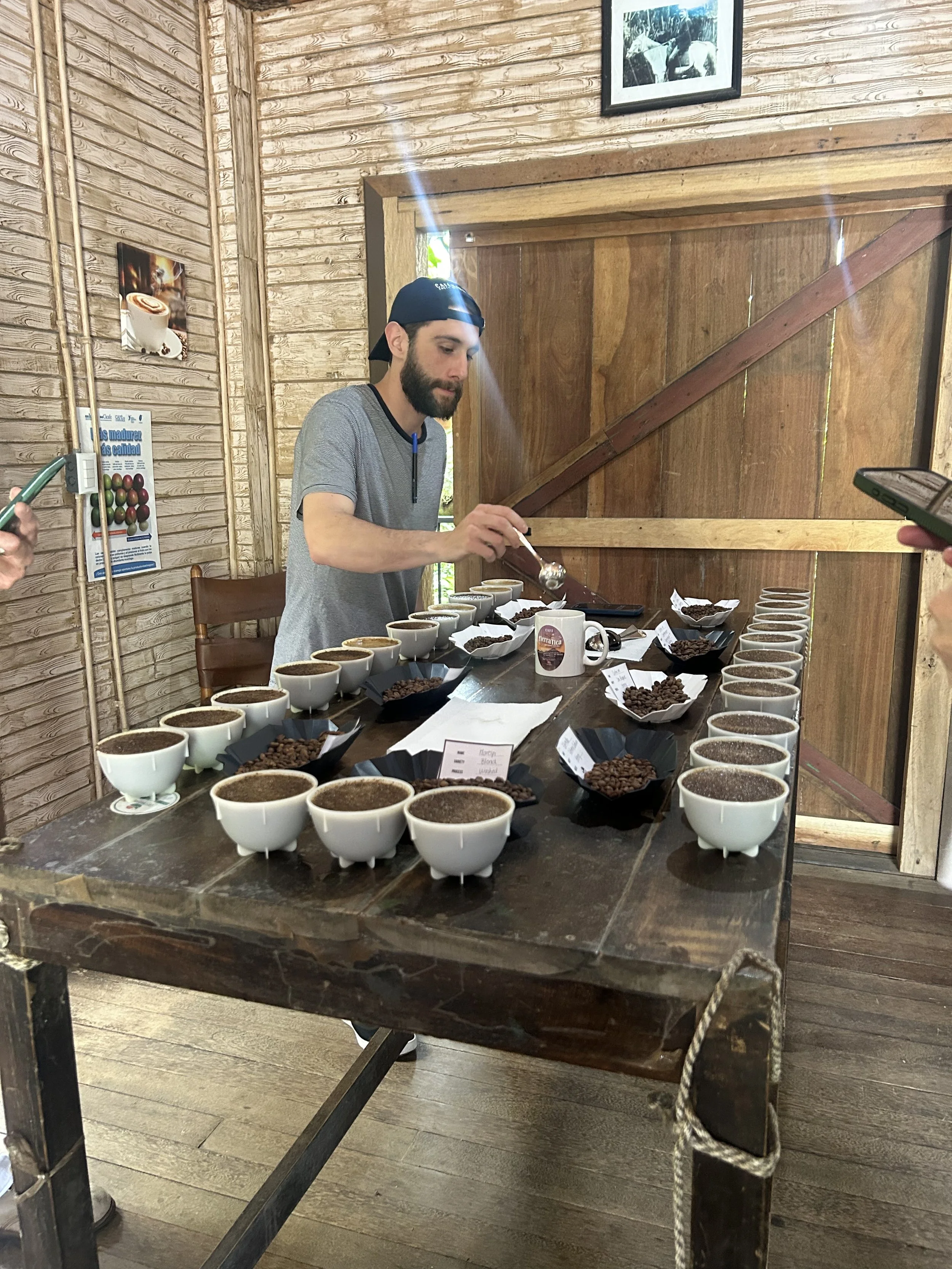 A man with a beard and black cap, wearing a gray T-shirt, is standing at a wooden table tasting different types of coffee. The table has numerous small cups filled with coffee samples, each labeled with tags. He is using a spoon to sample the coffee. The background features wooden walls and a framed black-and-white photograph of a horse and rider.