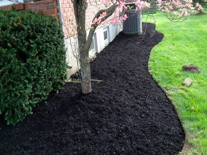 black-dyed-mulch1_700x525.jpg
