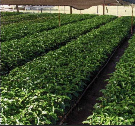 Environmental responsibility