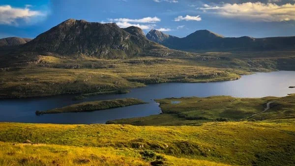 Rewild yourself for £100 less