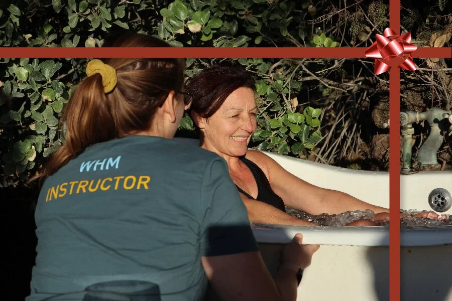 The Coolest Xmas Gift Ever?