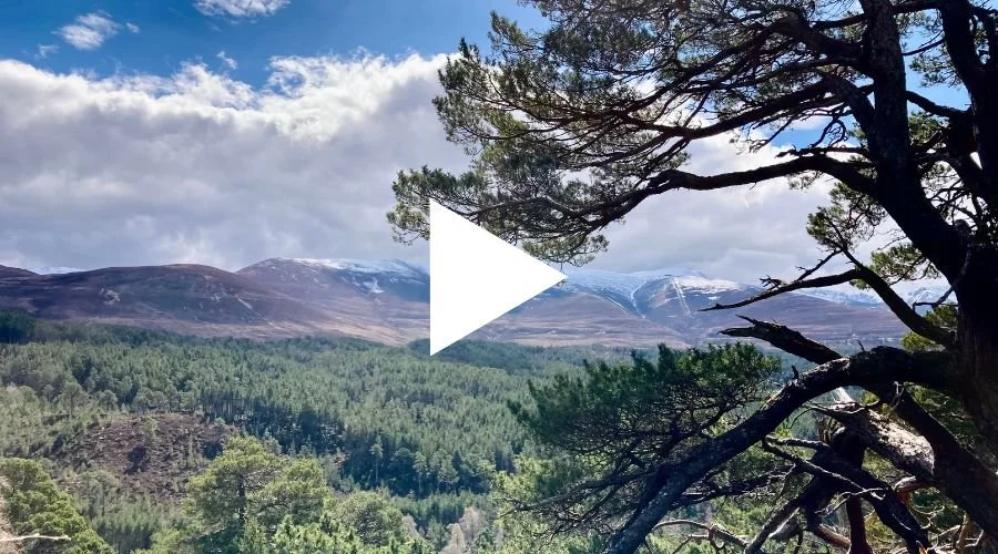 Wim Hof Weekend Retreat Scotland Highlands UK Adventure