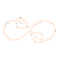 Infinity symbol with leaves, eco-friendly design.
