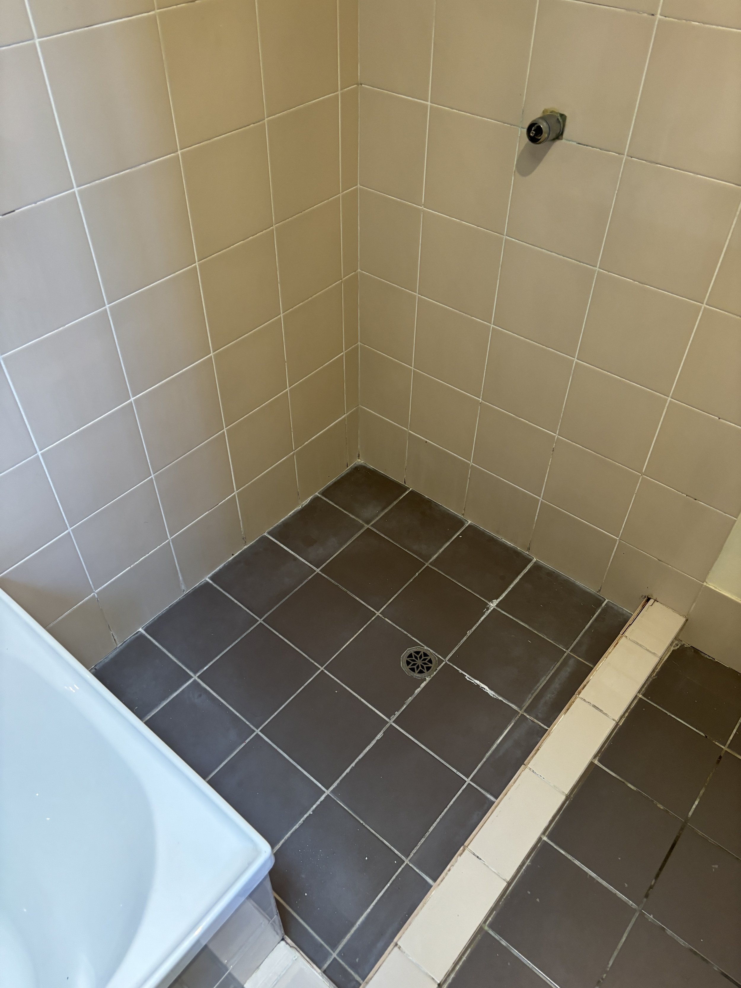 Shower Re-Grout Before