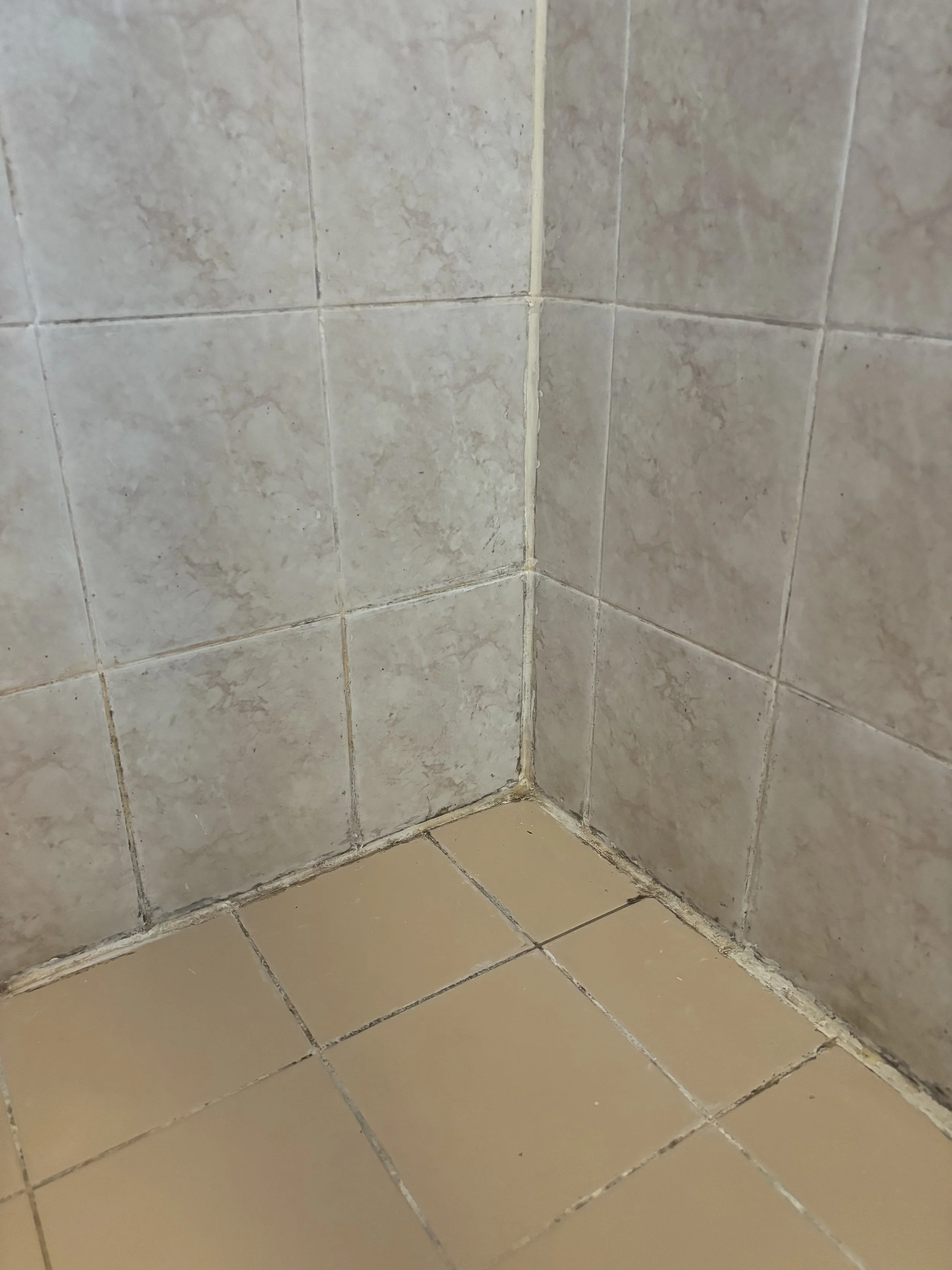 Shower Re-Grout Before