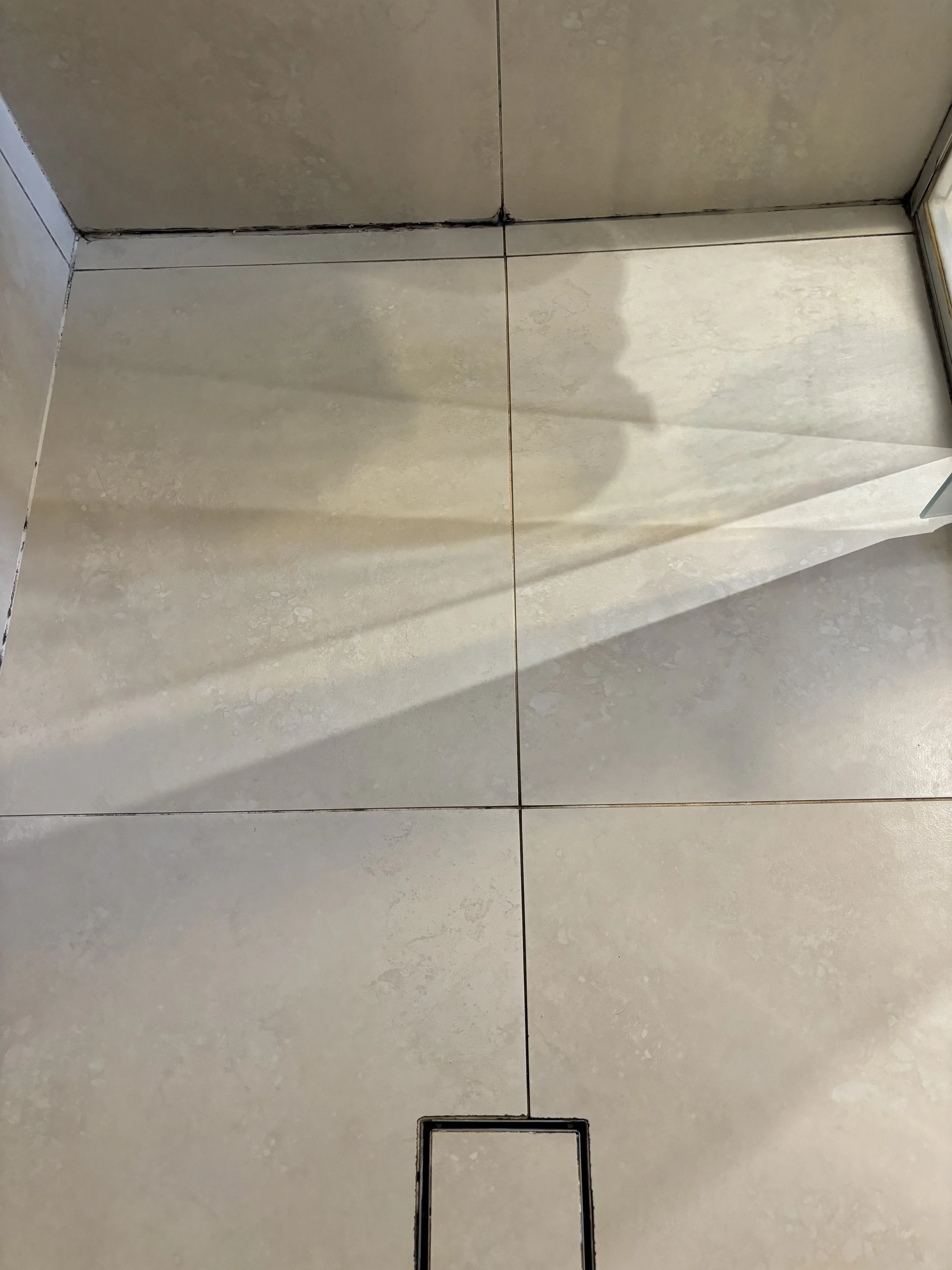 Shower Re-Grout Before