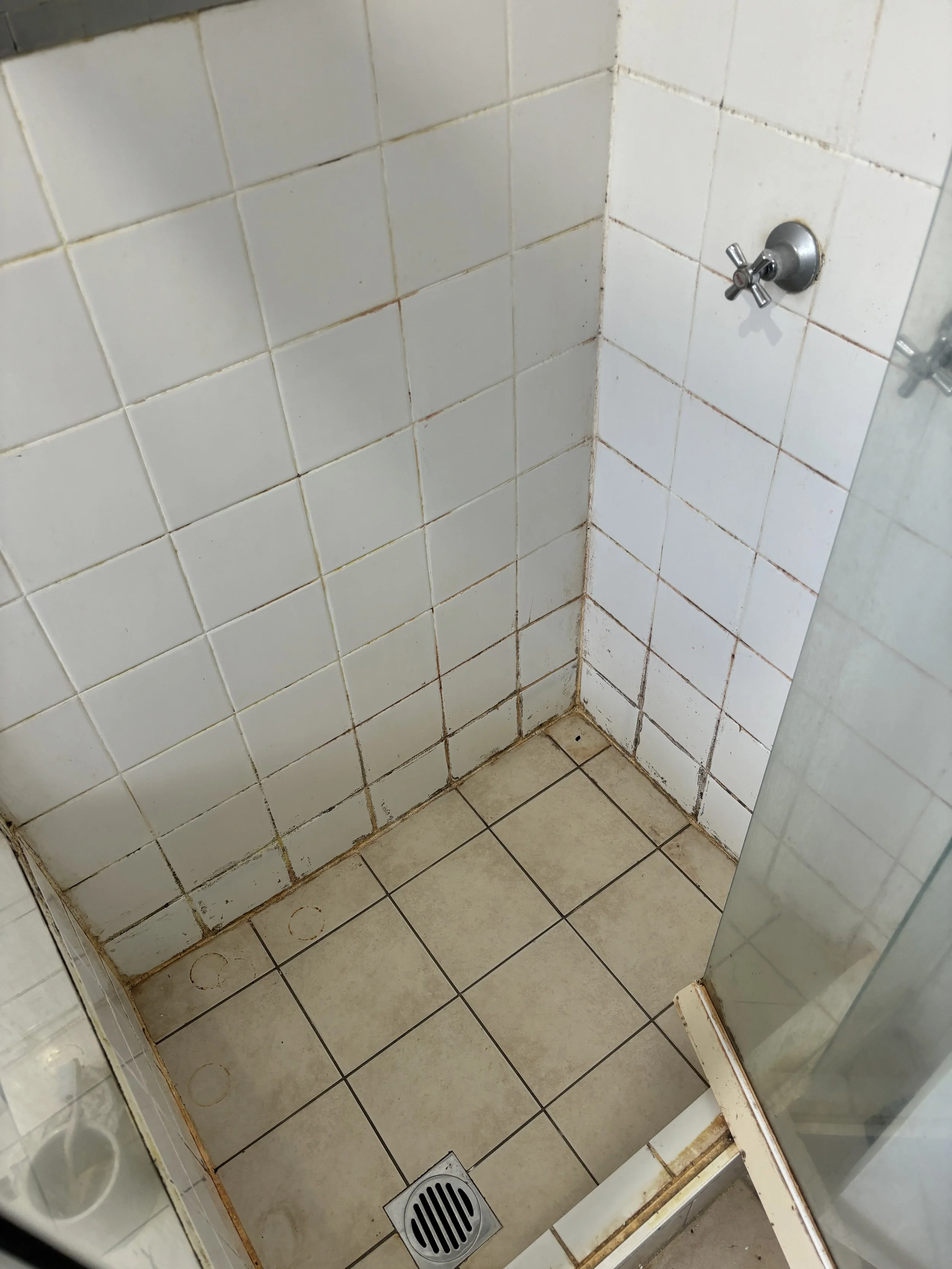 Shower Re-Grout Before