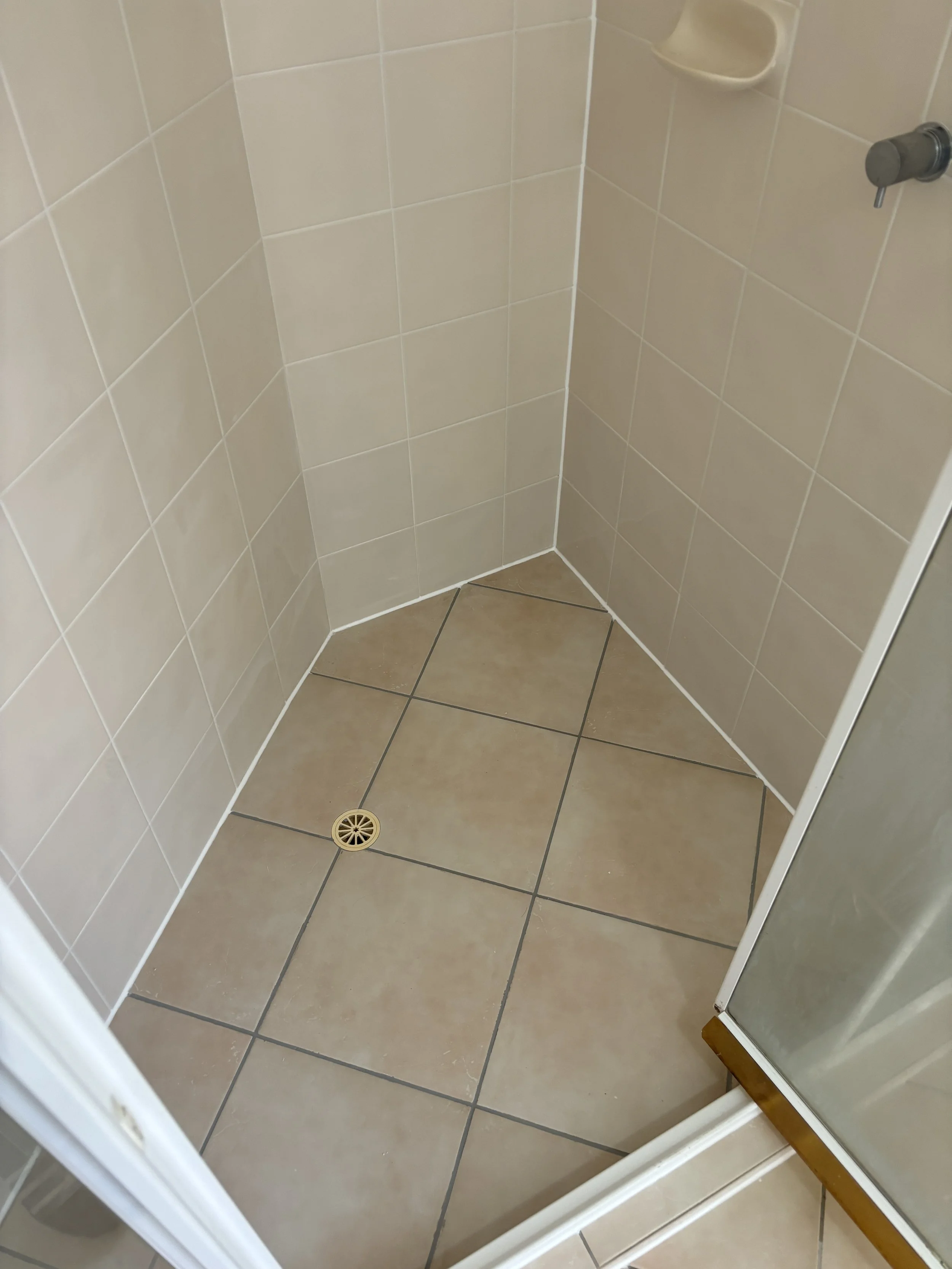 Shower Re-Grout After