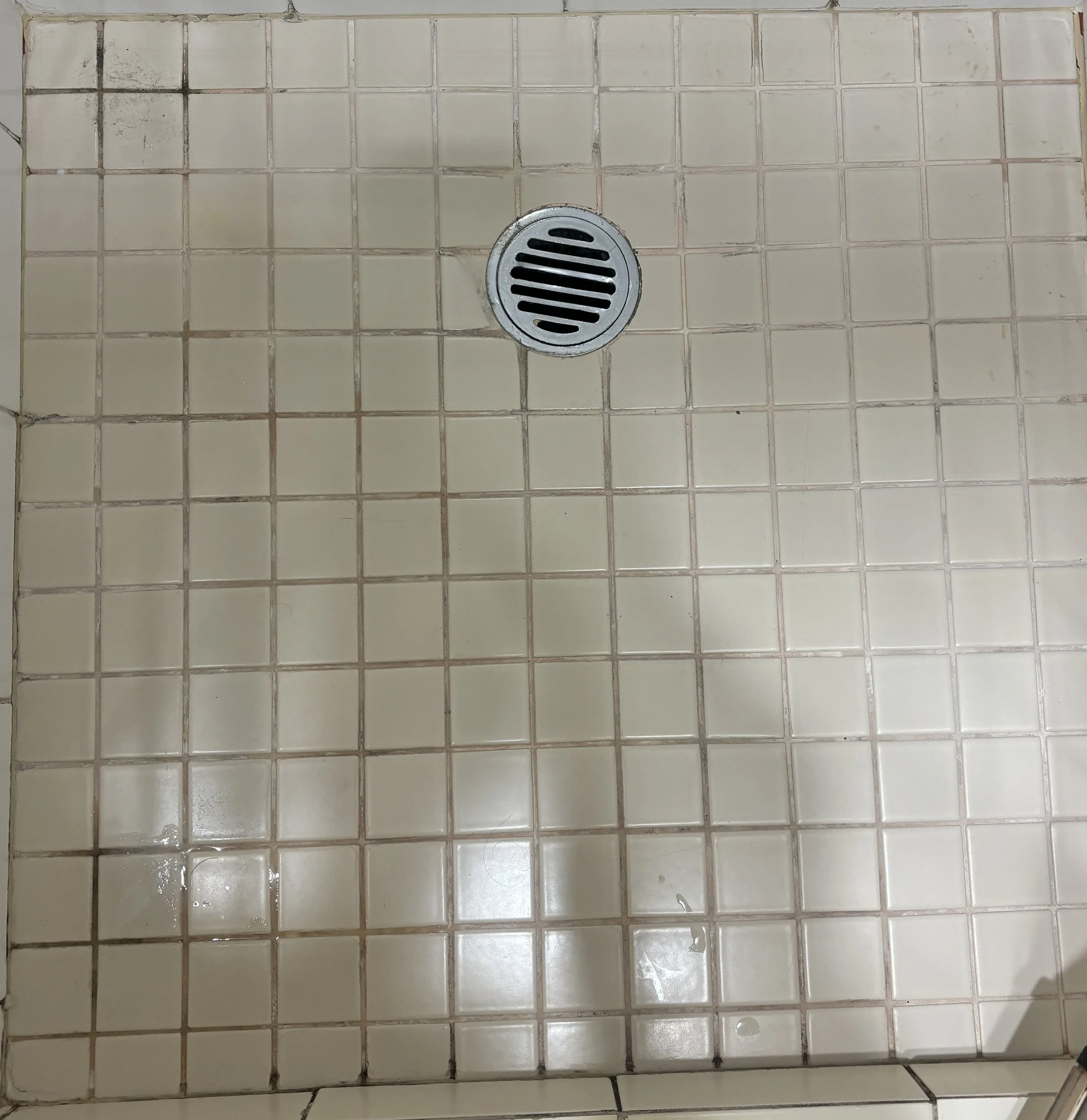 Shower Re-Grout Before