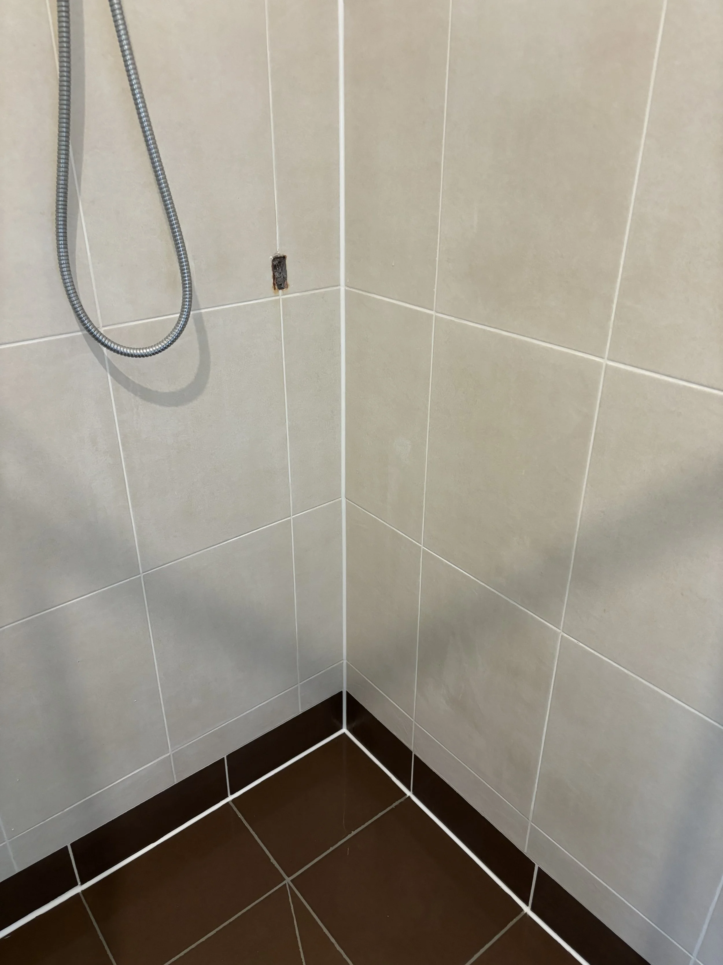 Shower Re-Grout After