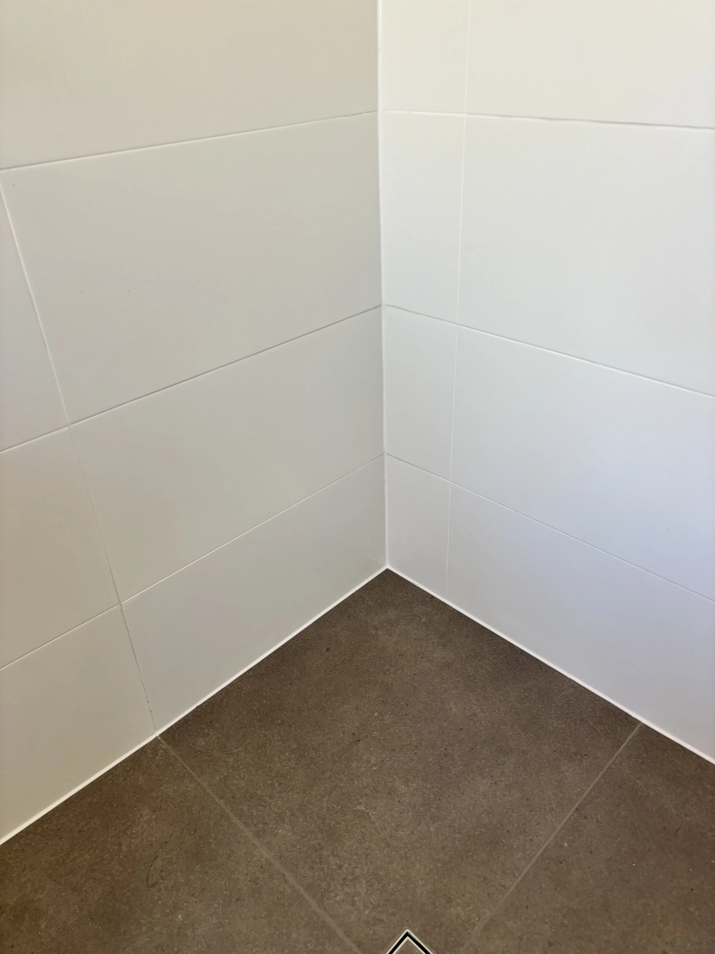 Shower Re-Grout After