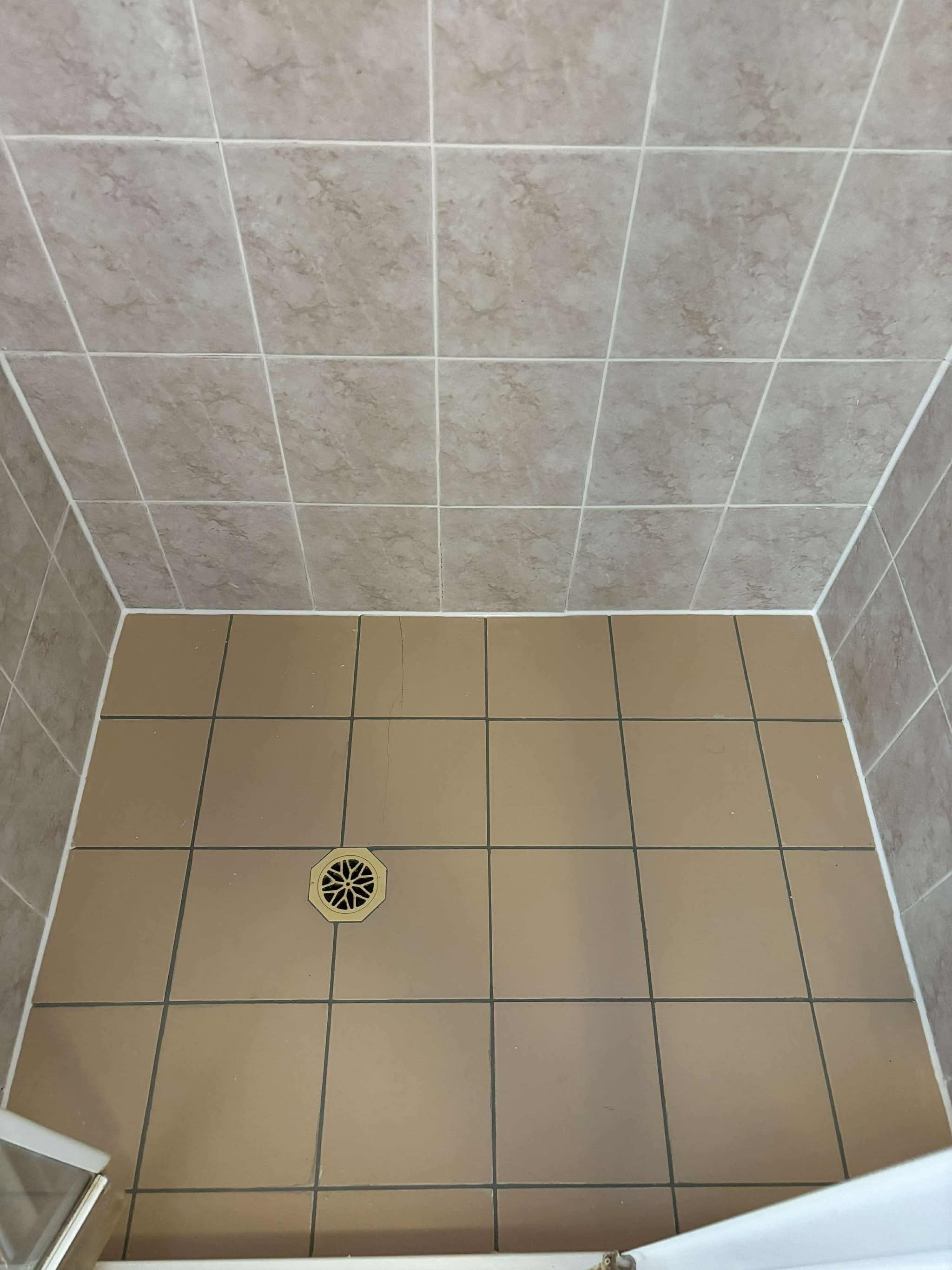 Shower Re-Grout After
