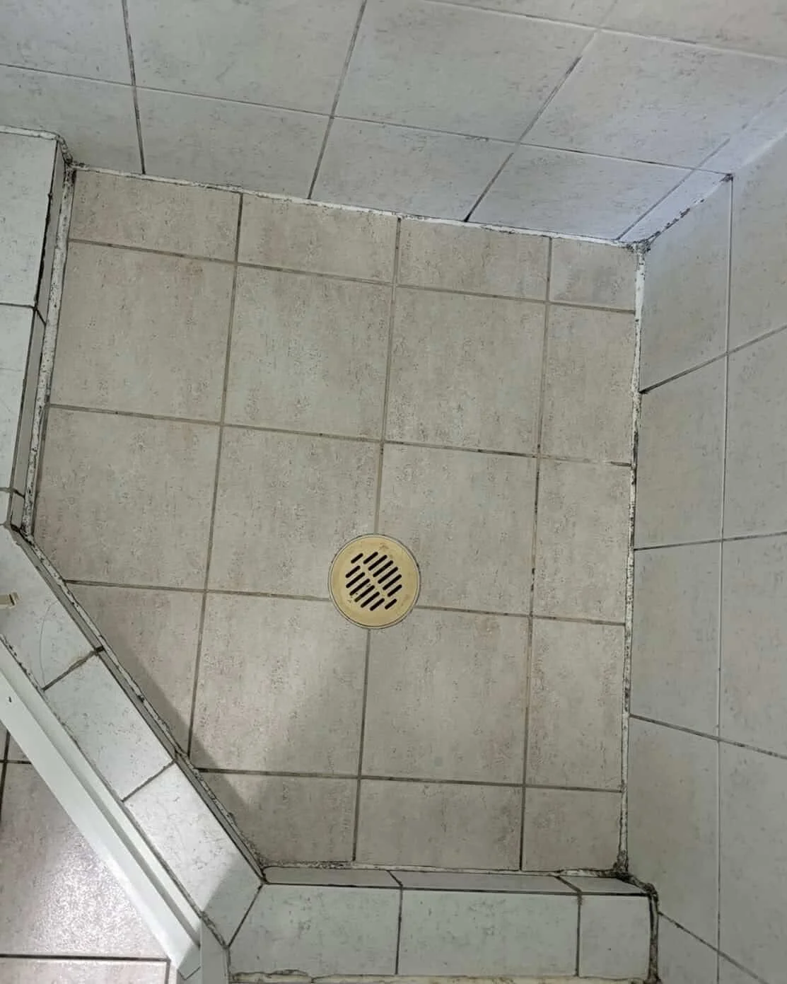 Shower Re-Grout Before