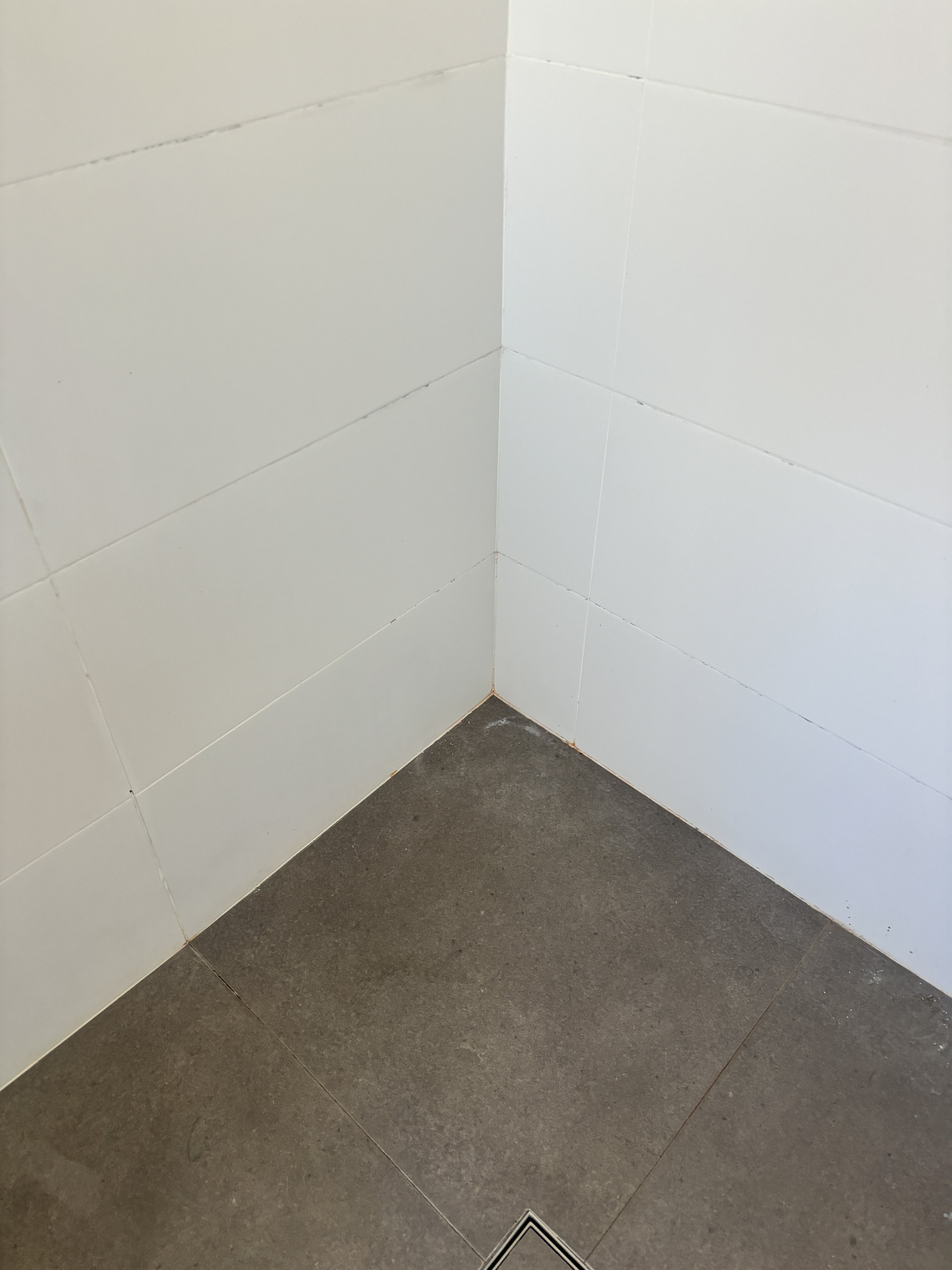 Shower Re-Grout Before