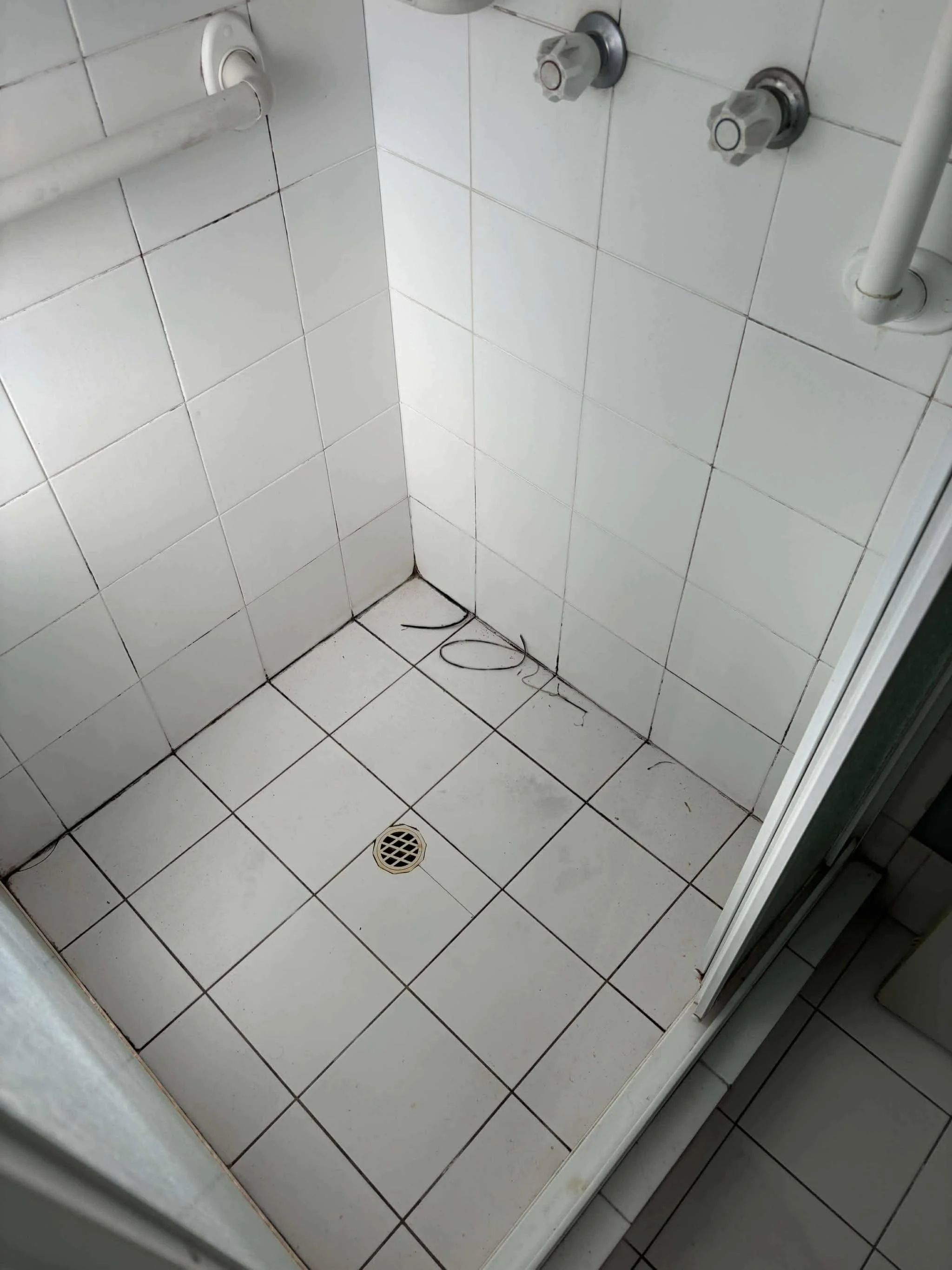 Shower Re-Grout Before