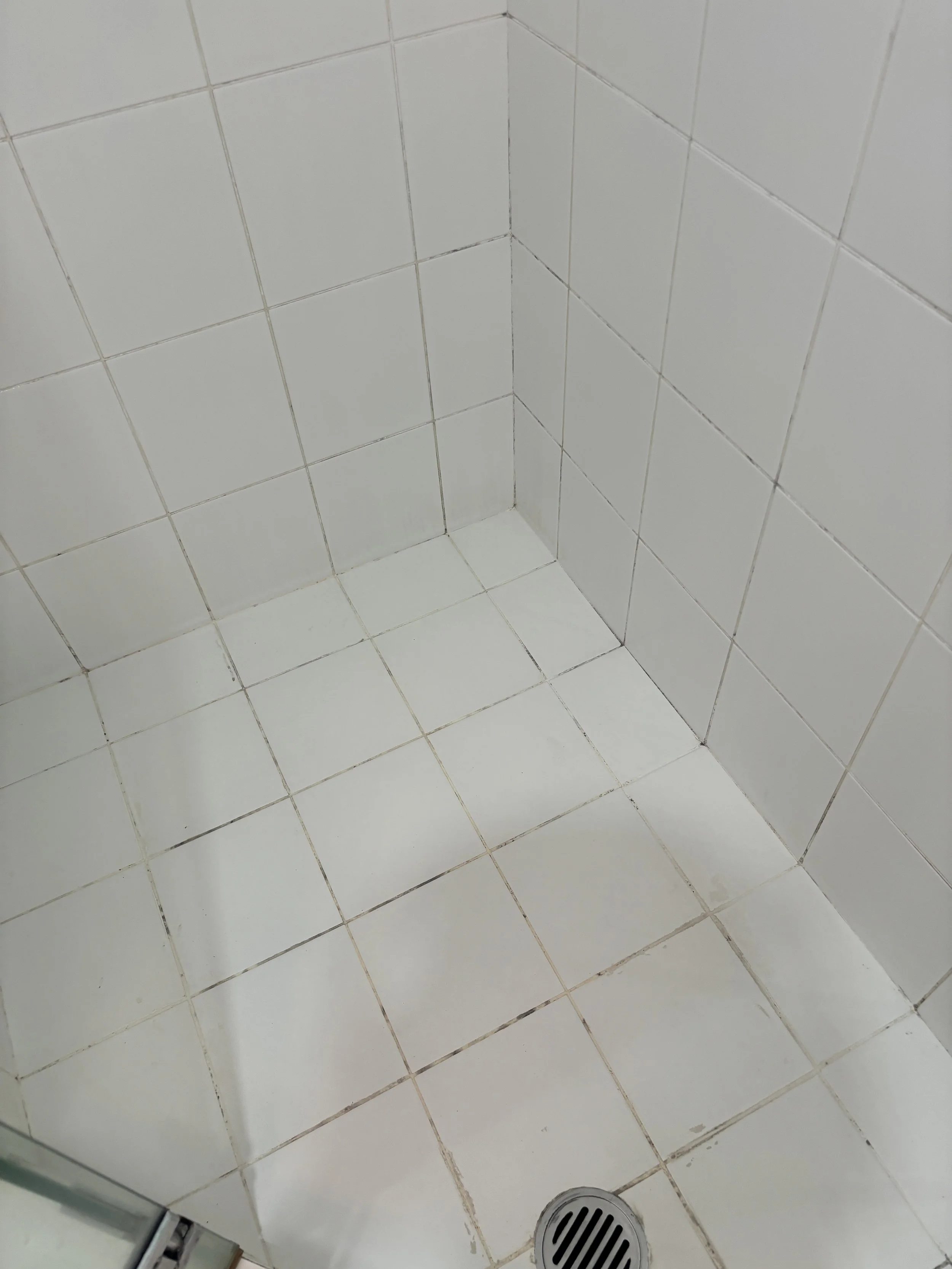 Shower Re-Grout Before