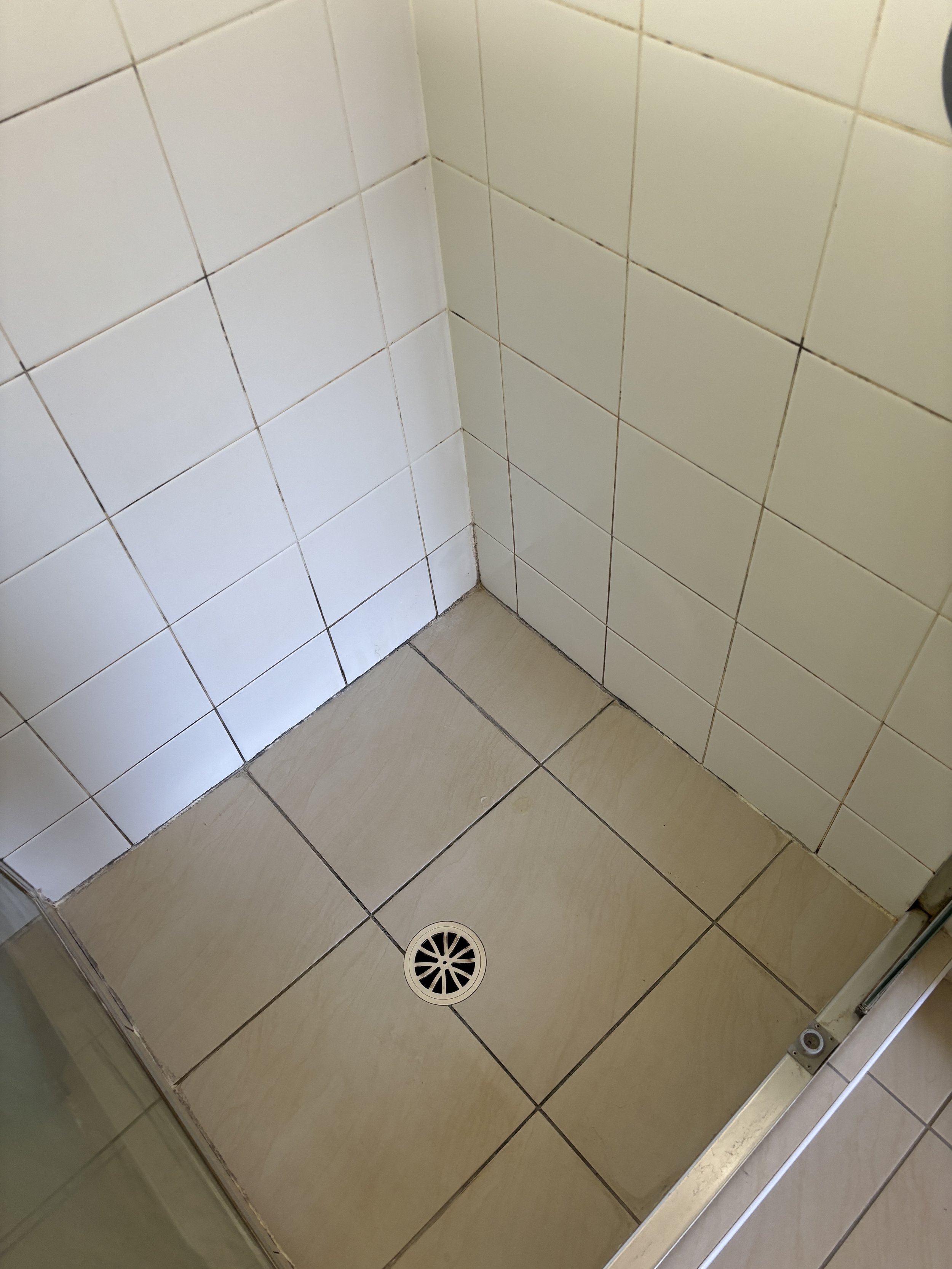 Shower Re-Grout Before