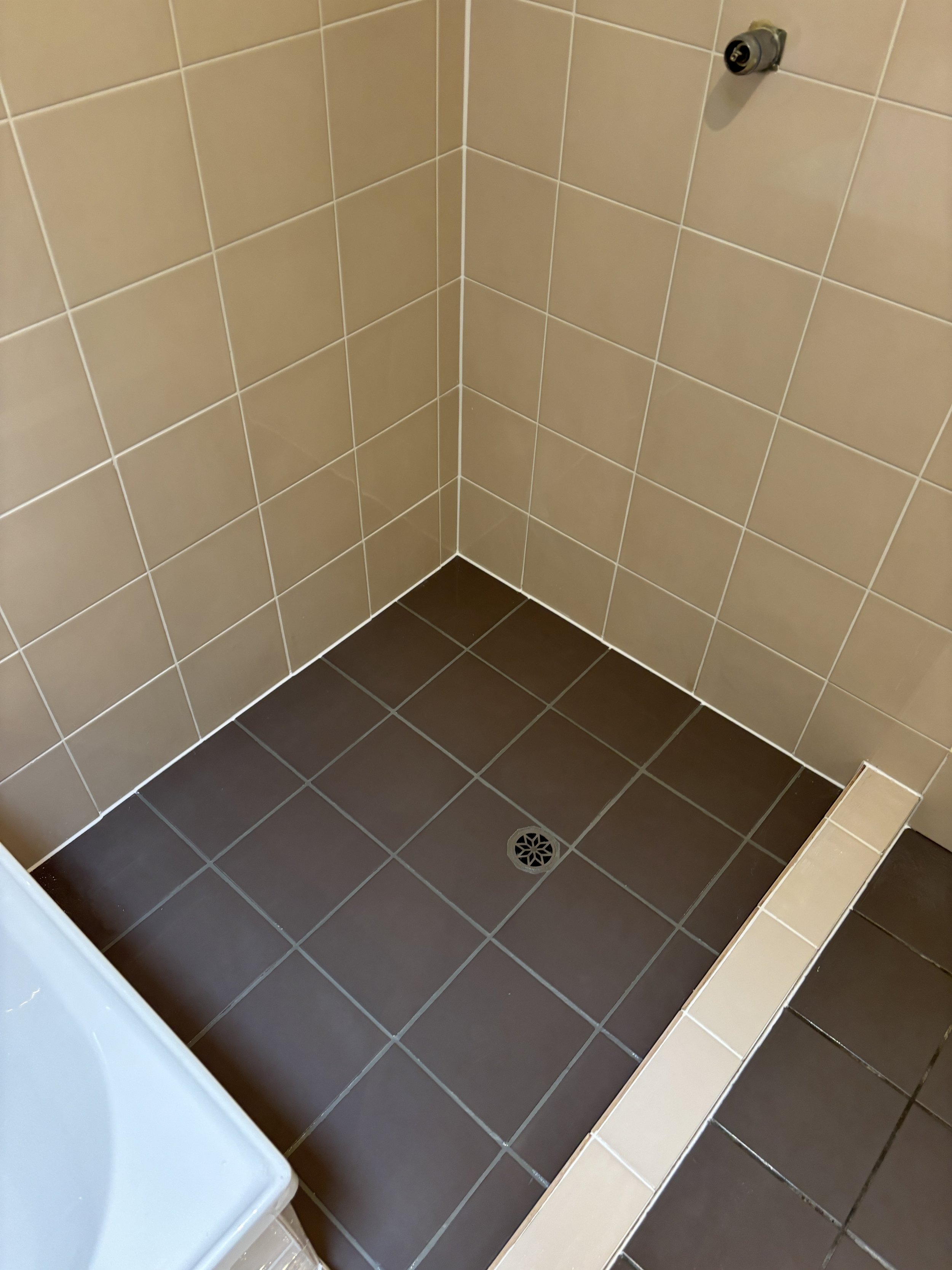 Shower Re-Grout After