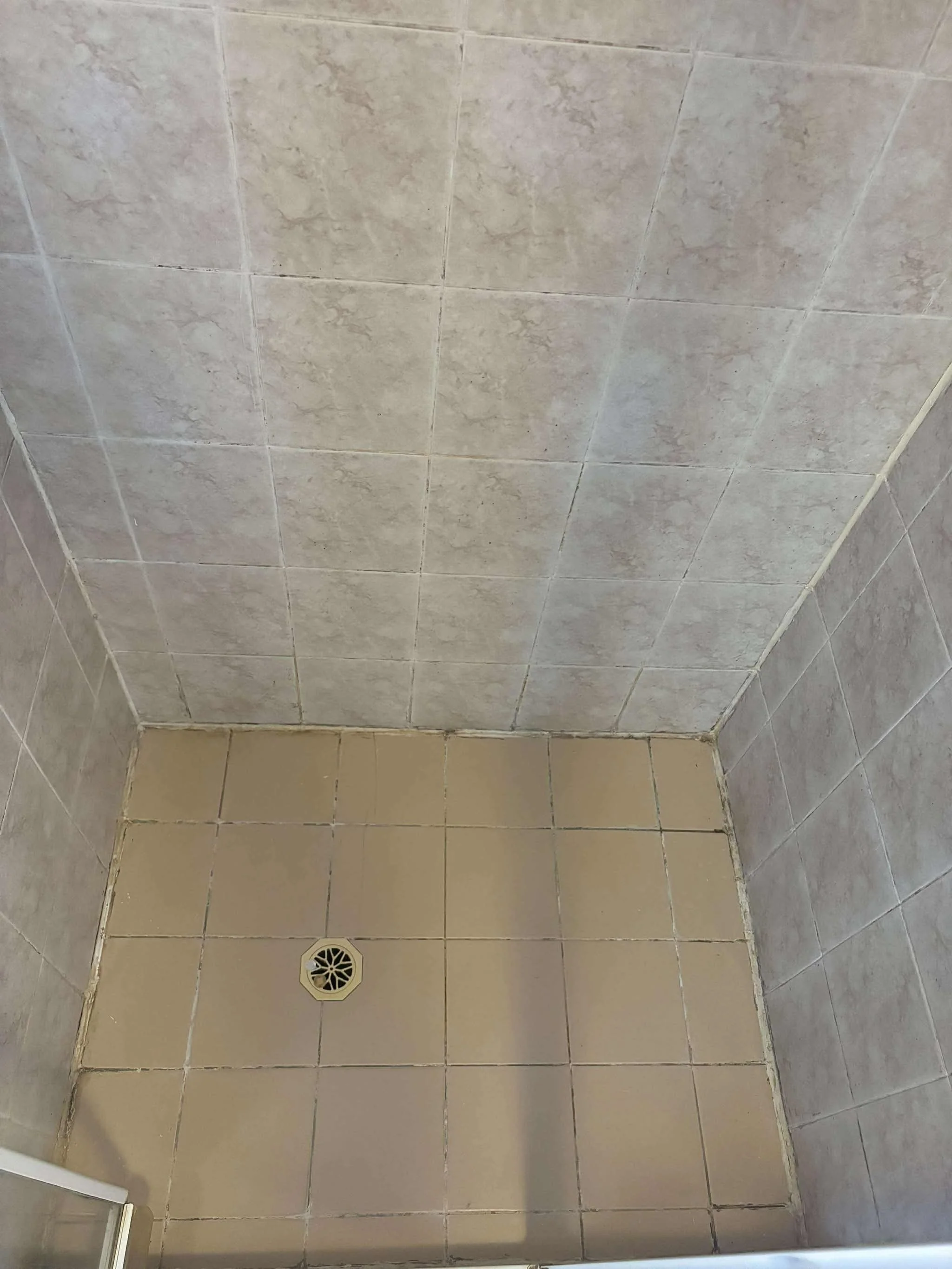 Shower Re-Grout Before