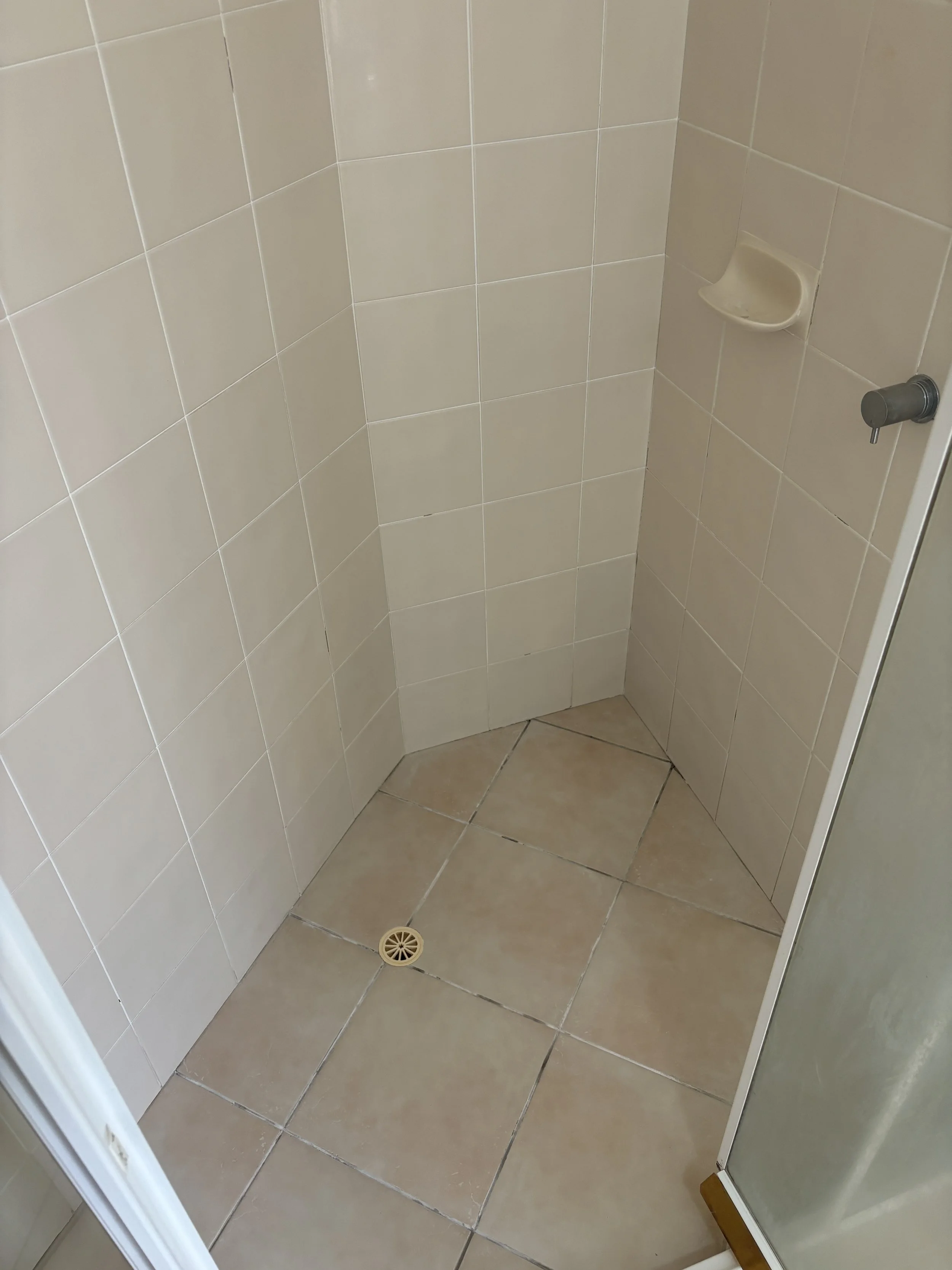 Shower Re-Grout Before