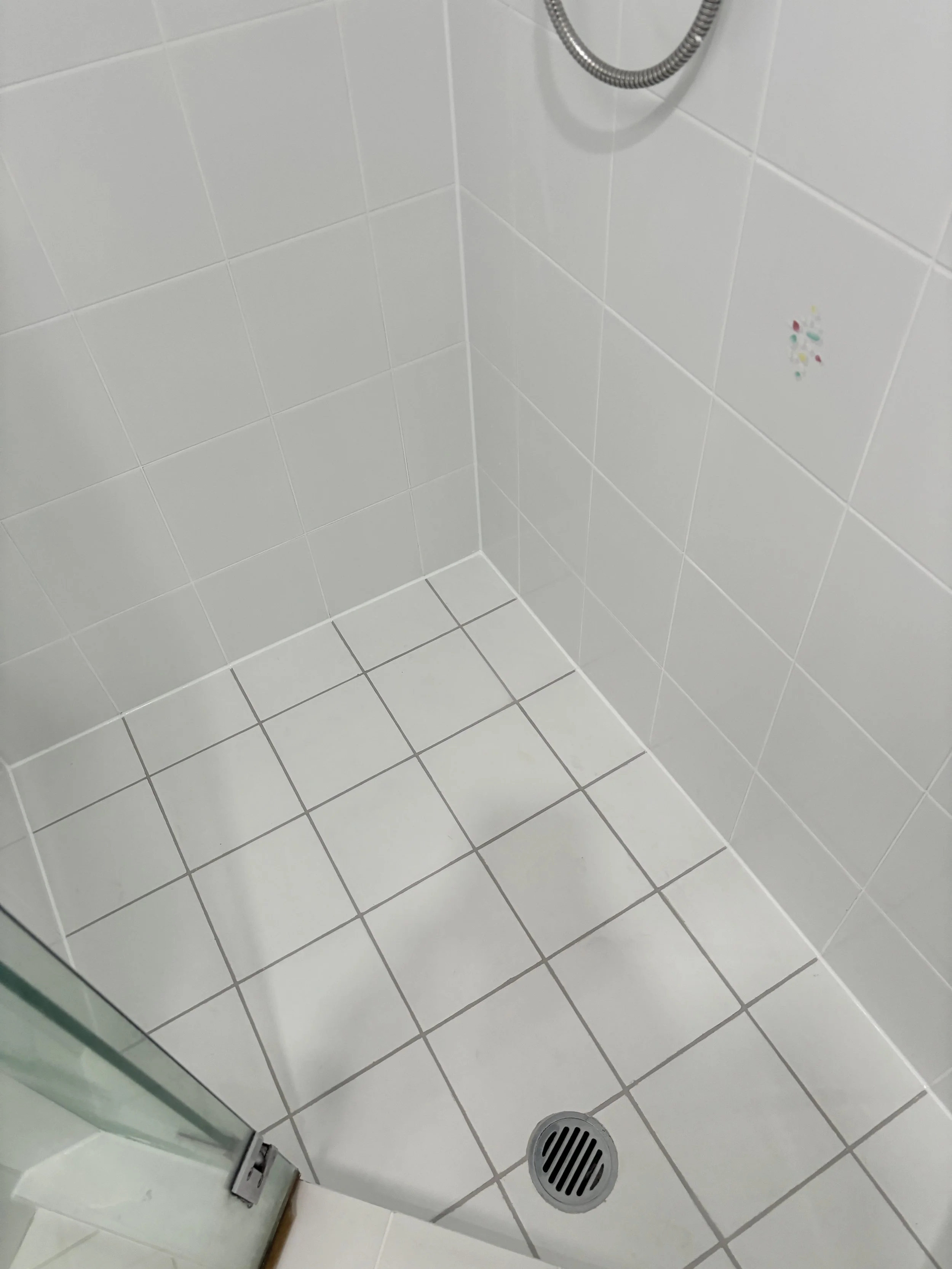 Shower Re-Grout After