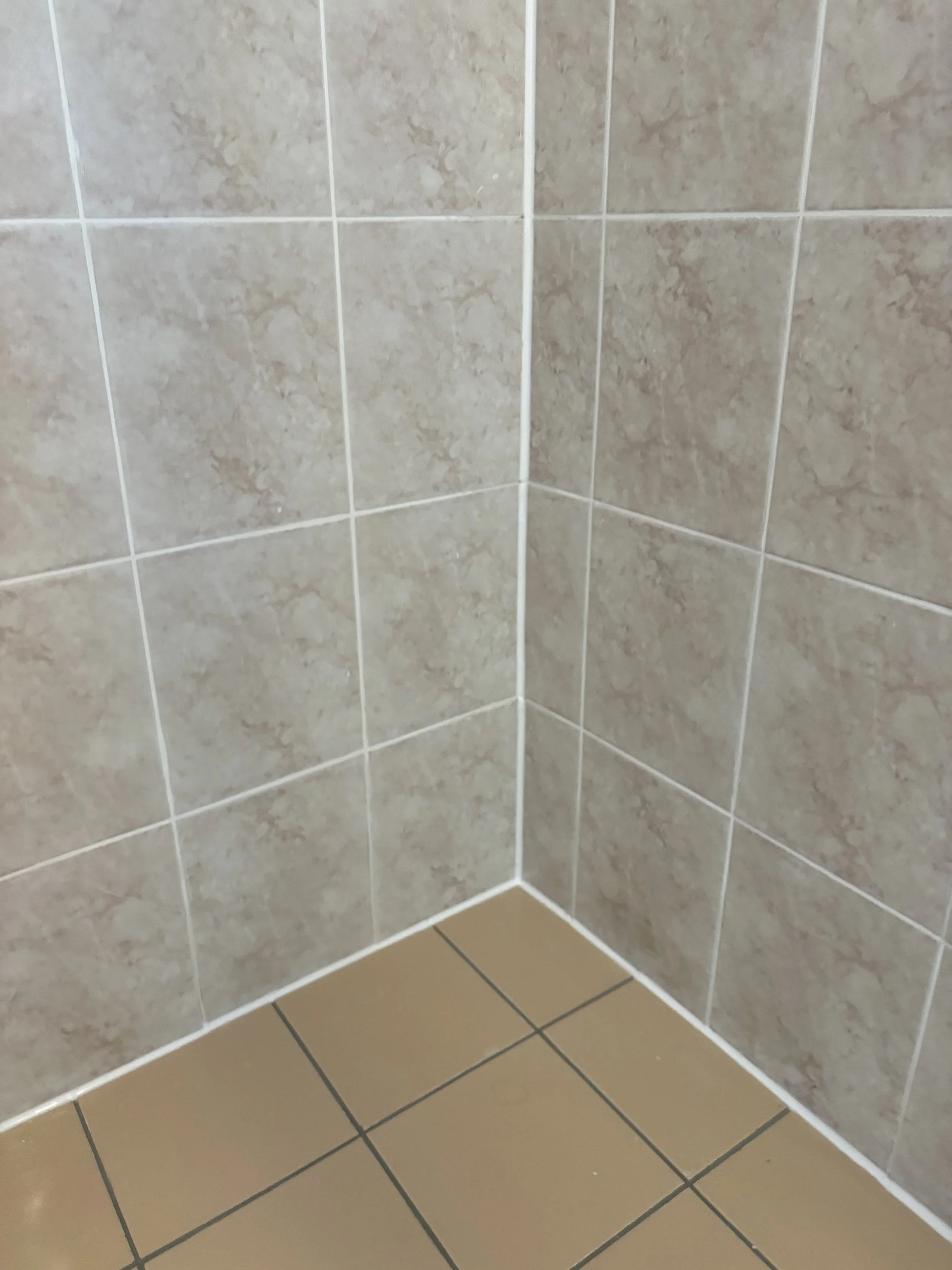 Shower Re-Grout After