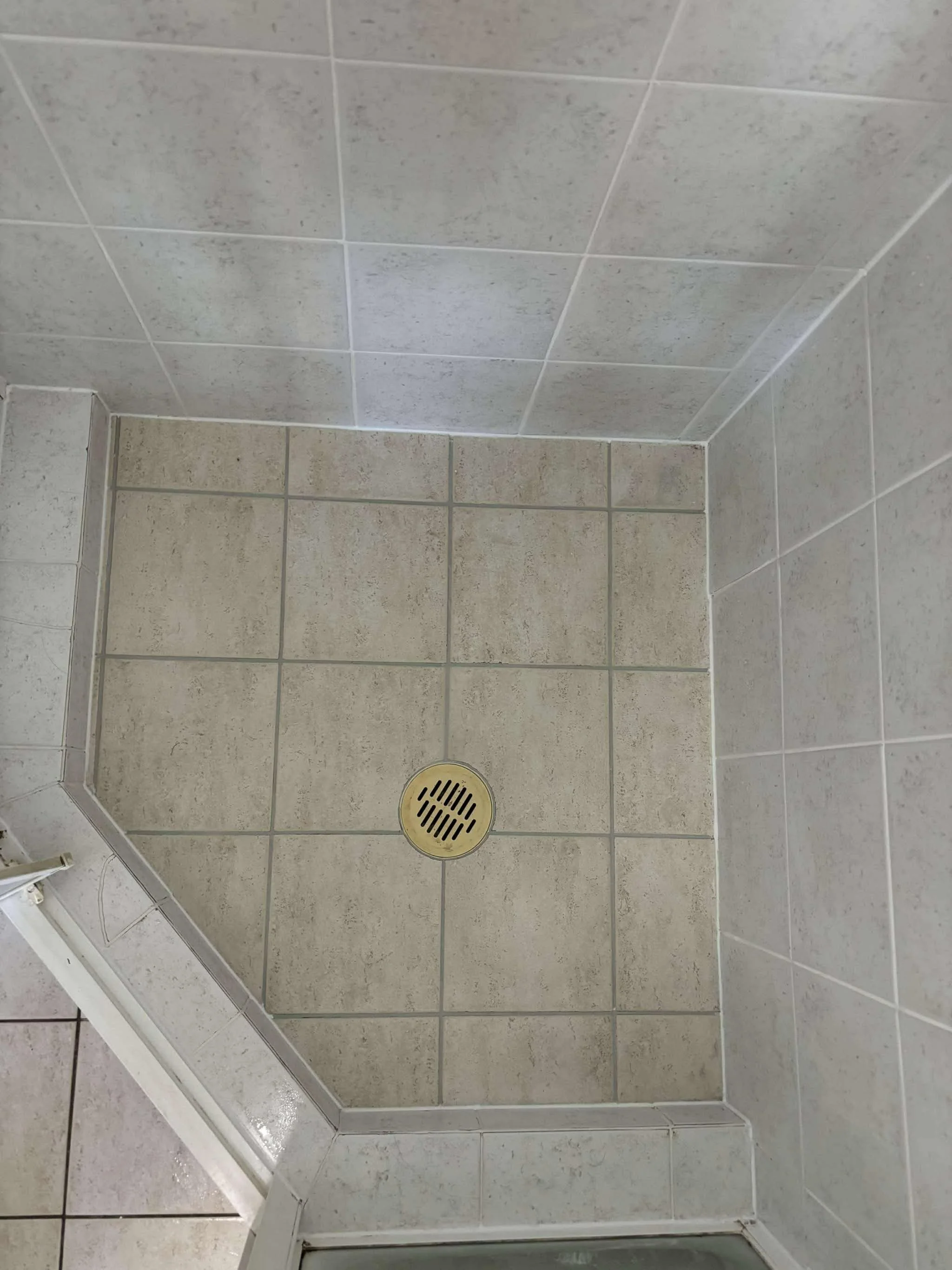 Shower Re-Grout After
