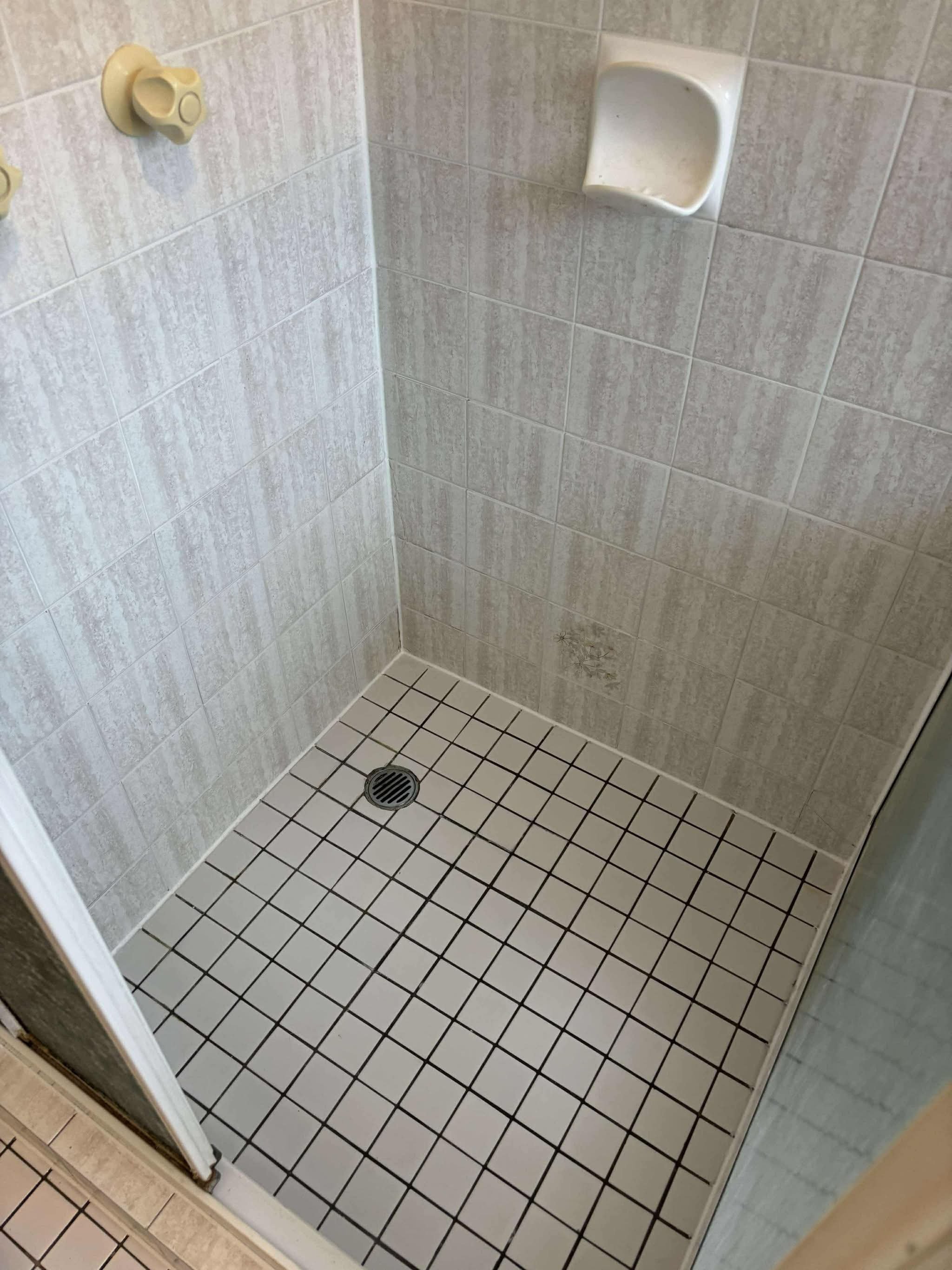 Shower Re-Grout After