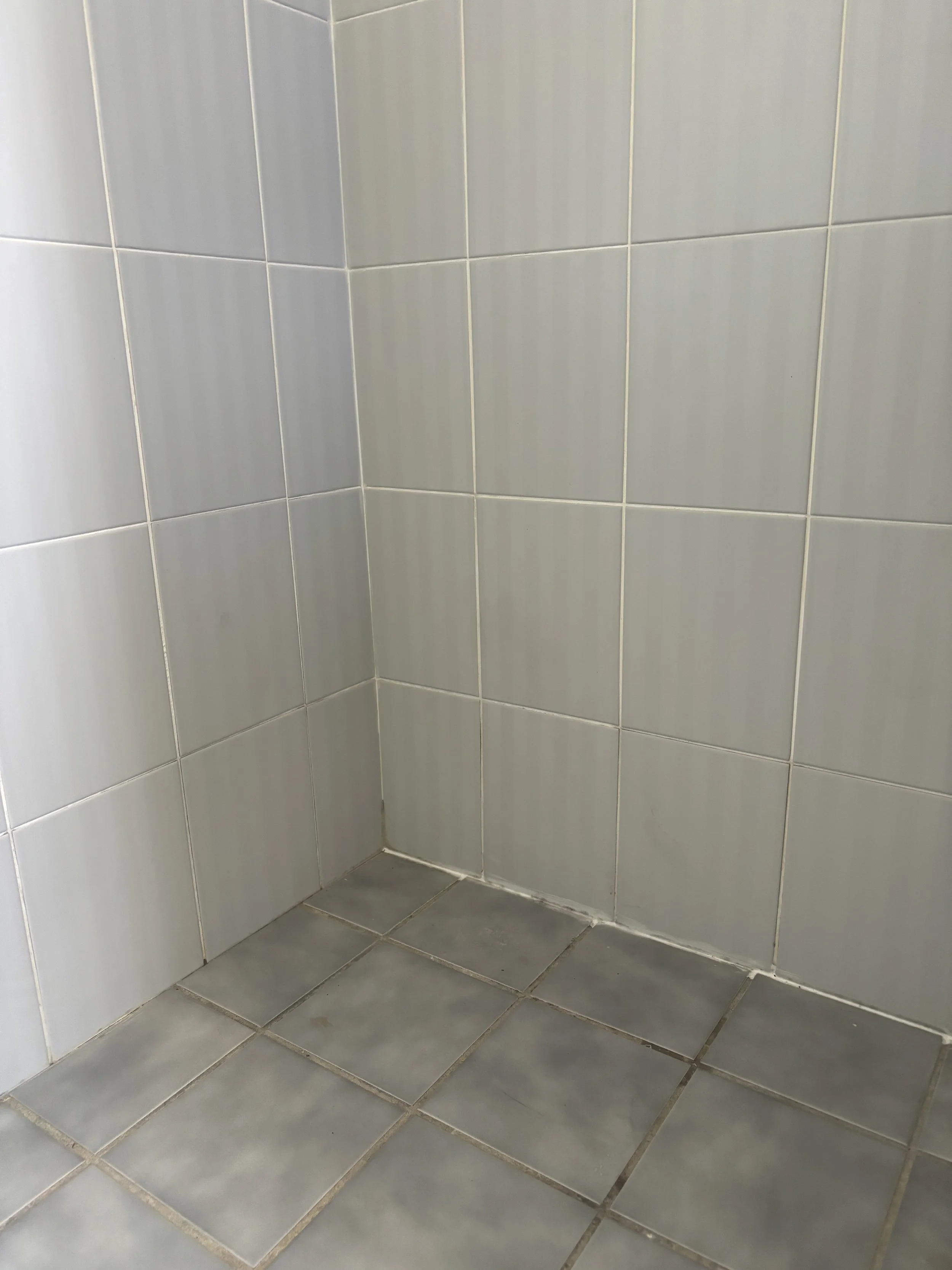 Shower Re-Grout Before