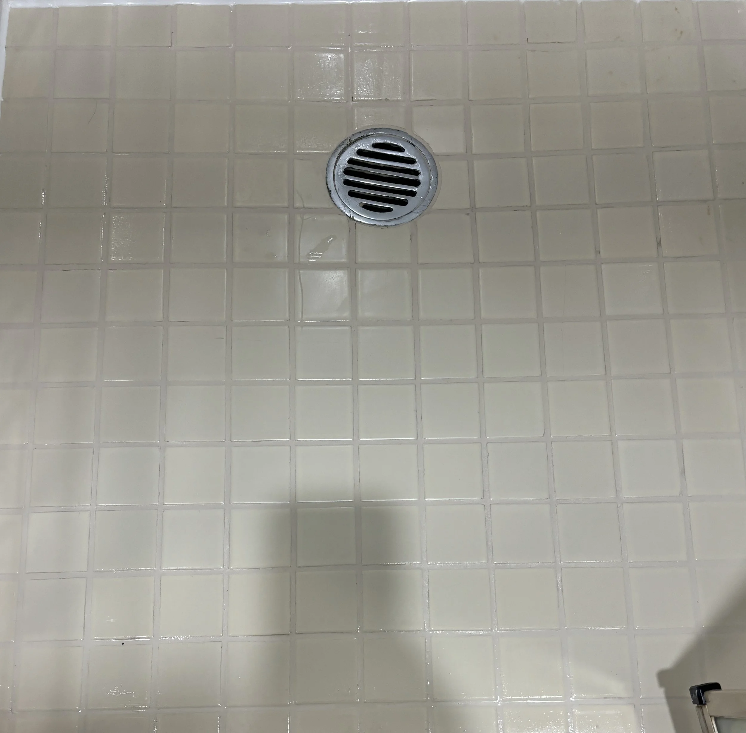 Shower Re-Grout After