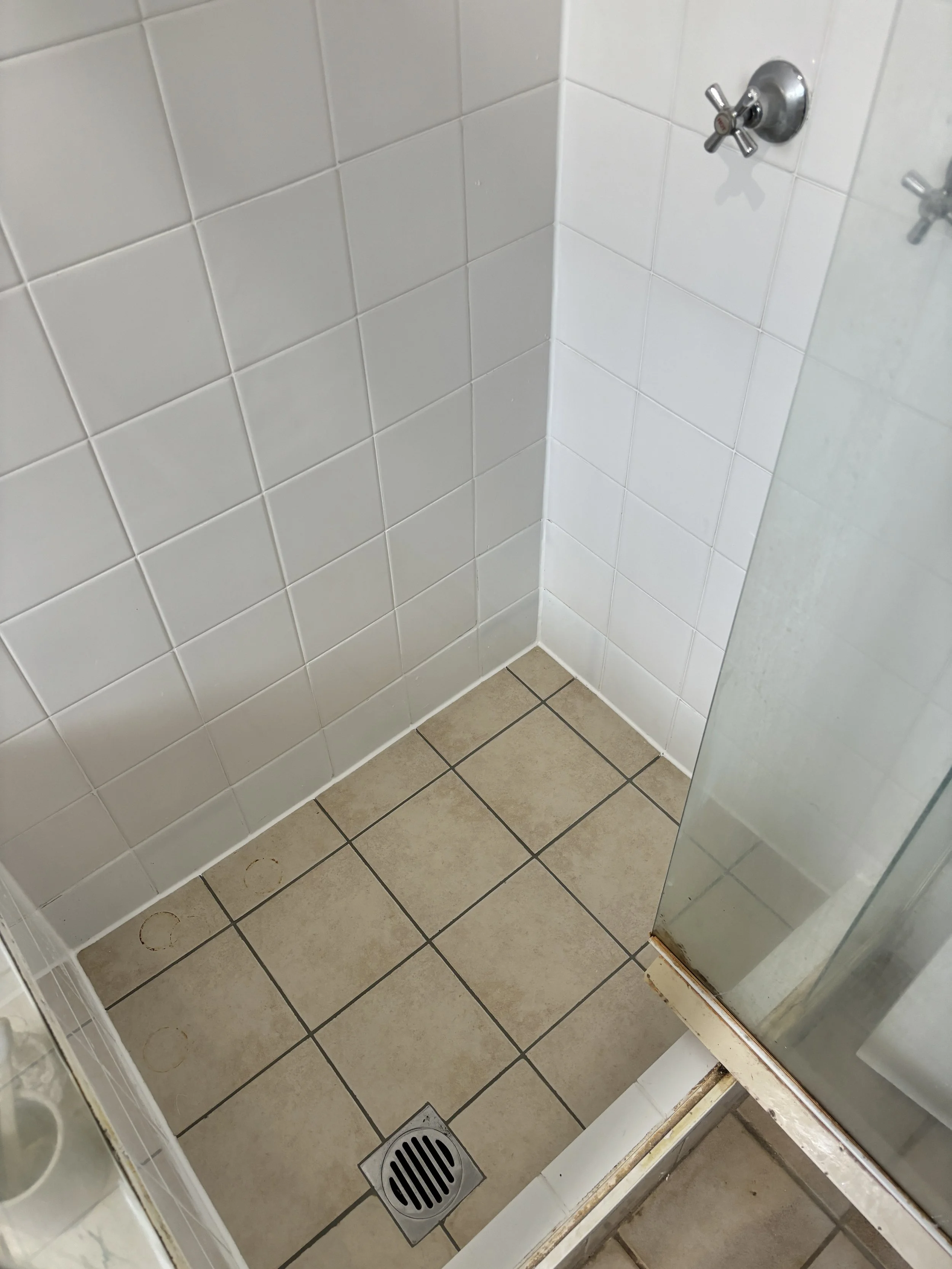 Shower Re-Grout After