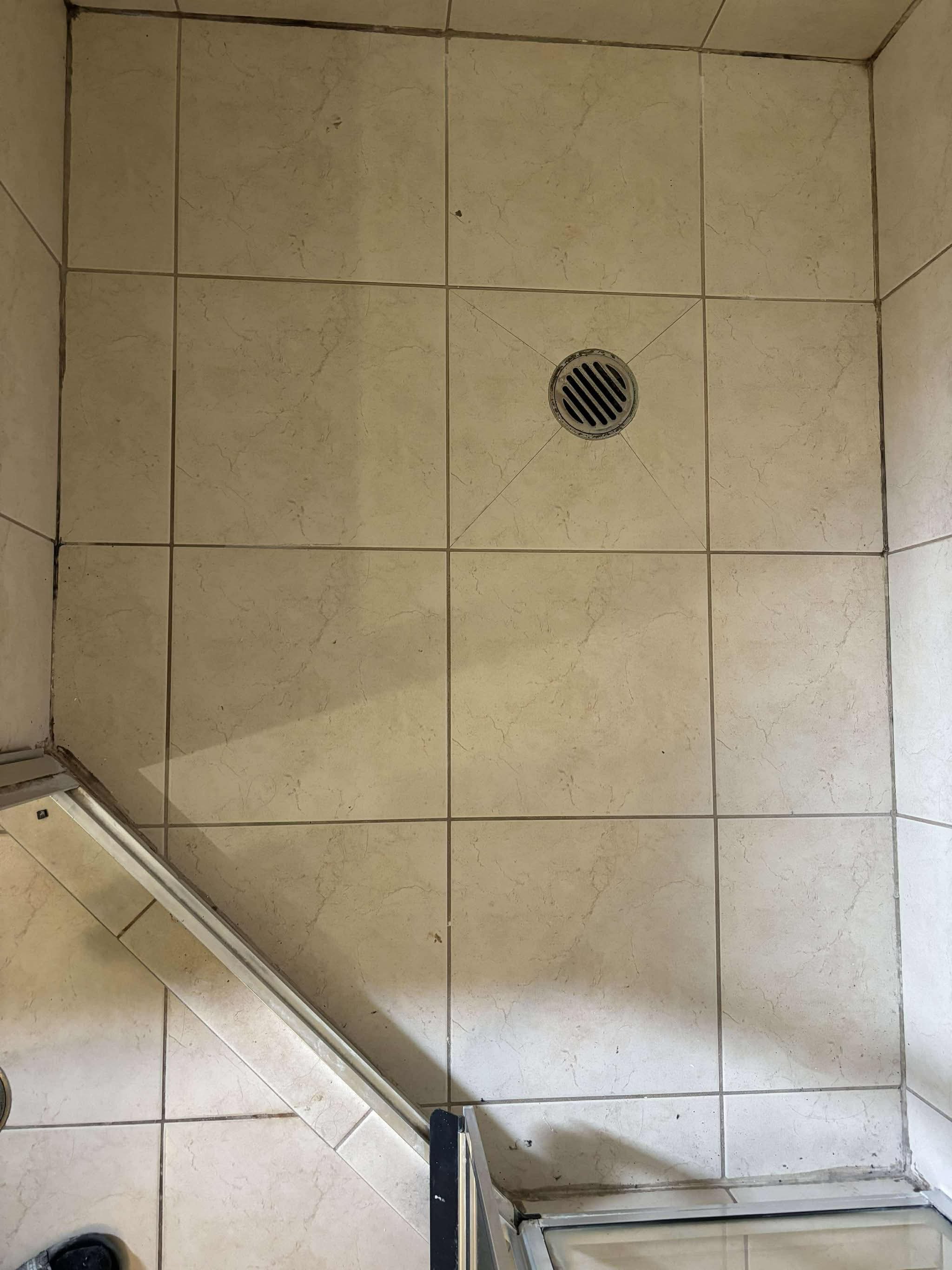 Shower Re-Grout Before