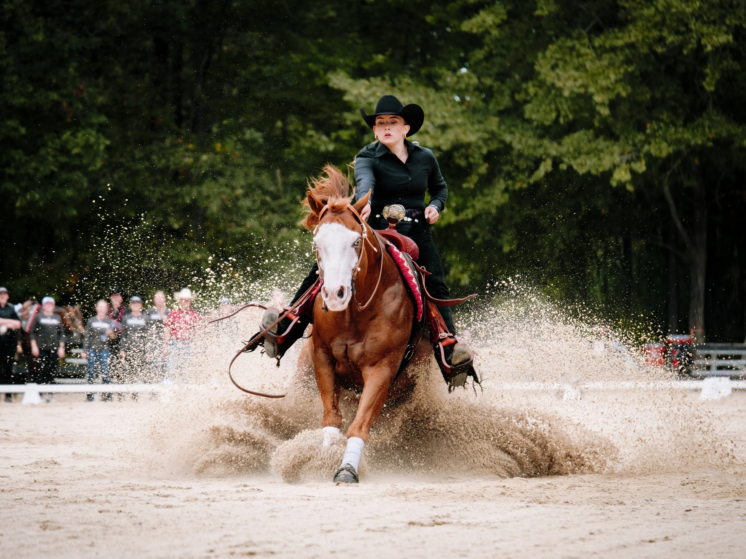 Avery-Griesbach-Photography-250926-Equestrian-Gamecock-2417.jpg