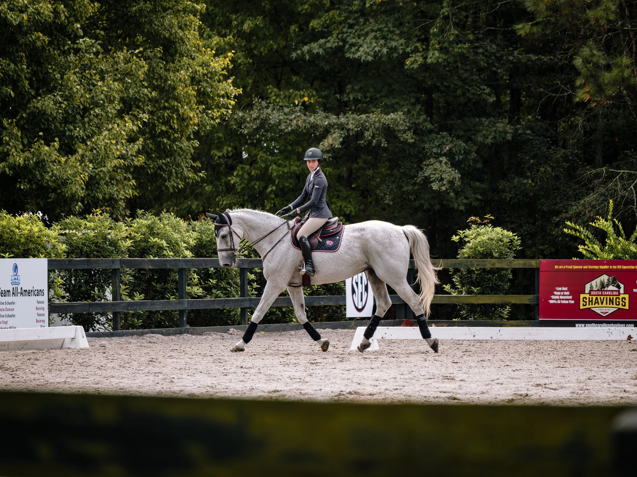 Avery-Griesbach-Photography-250926-Equestrian-Gamecock-1675.jpg
