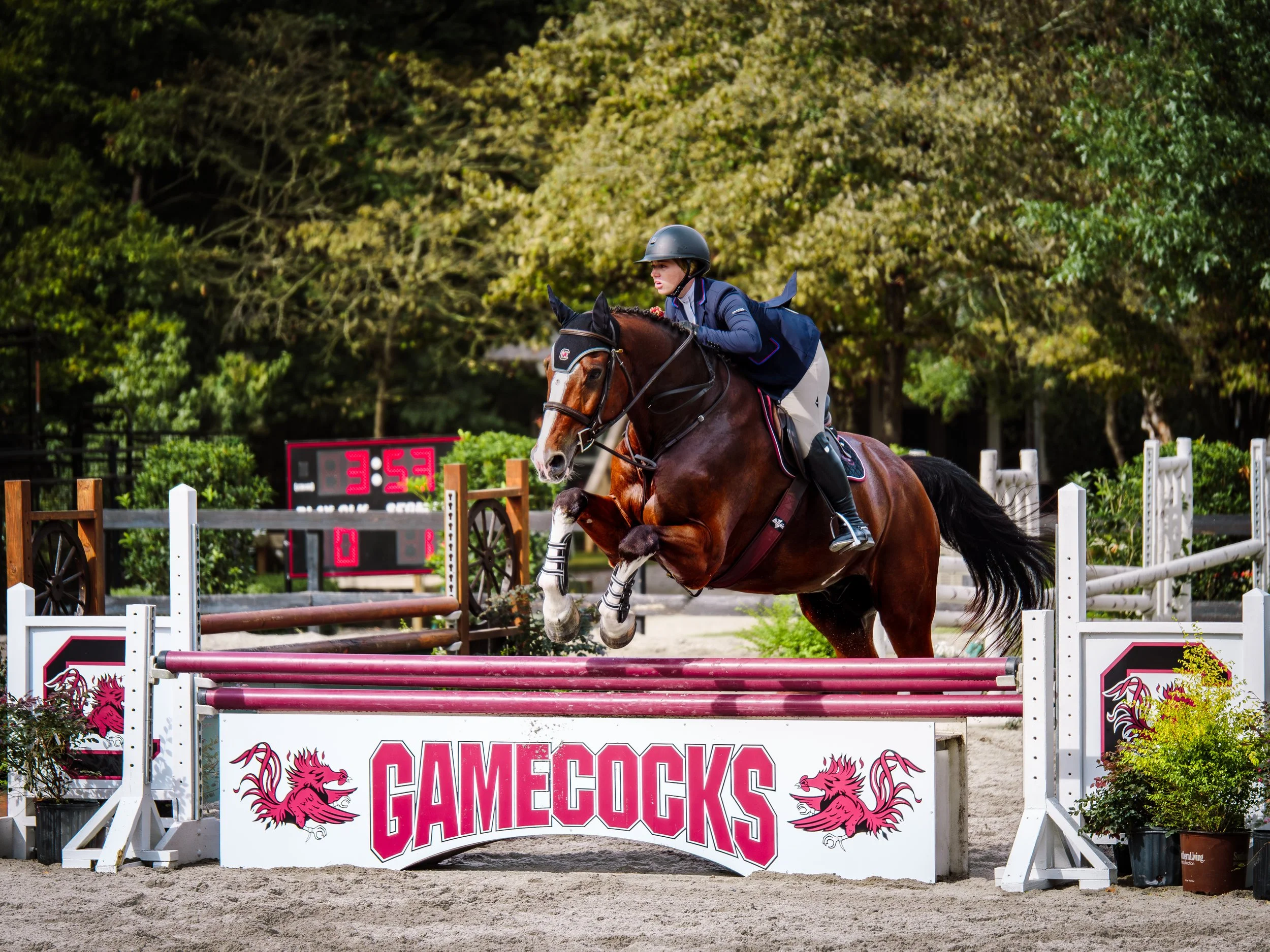 Avery-Griesbach-Photography-250926-Equestrian-Gamecock-0301.jpg