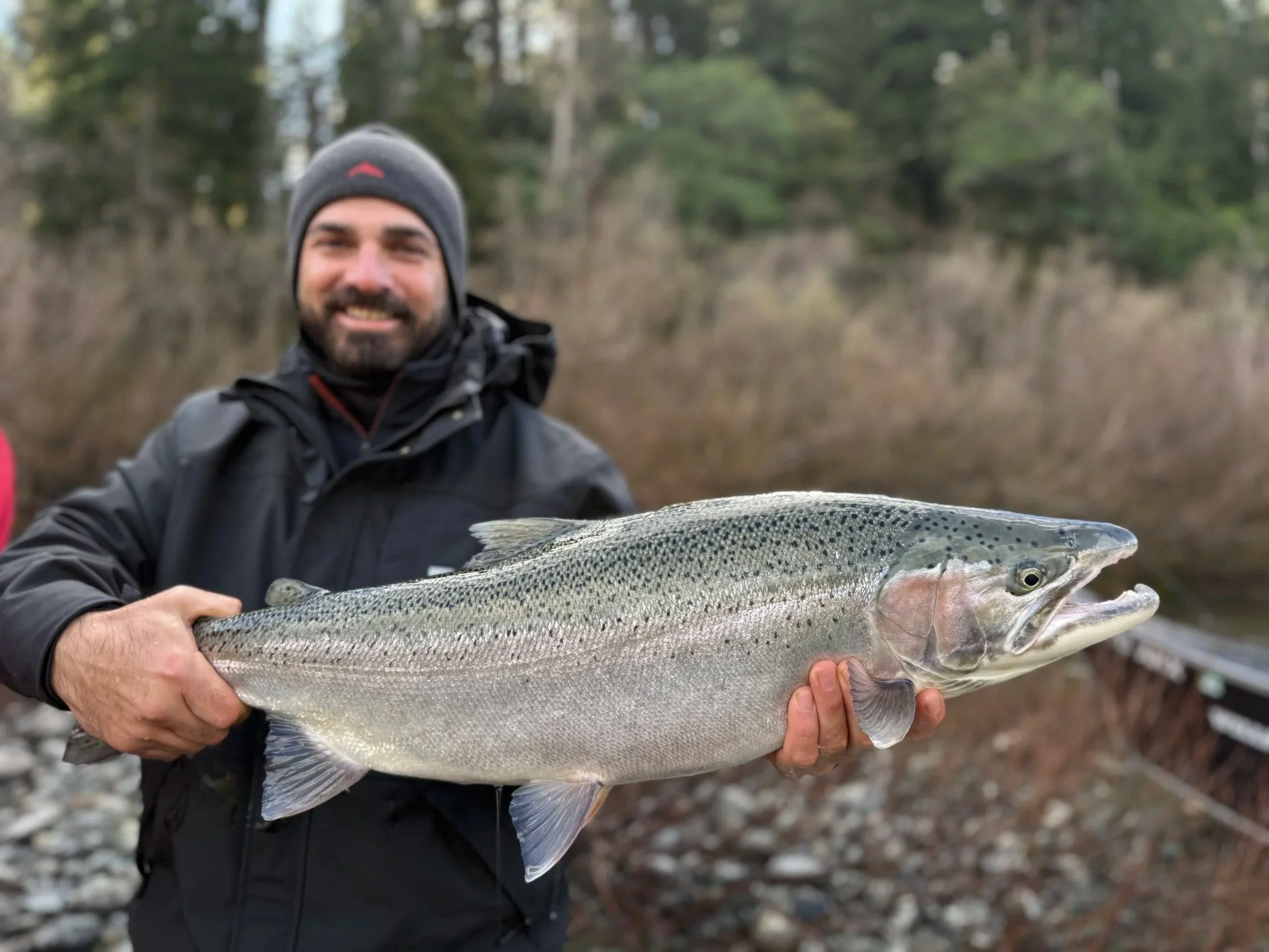 WINTER STEELHEAD