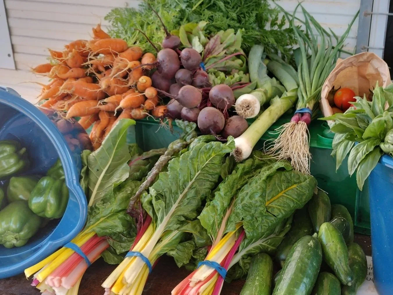 A table full of a variety of freshly grown vegetables