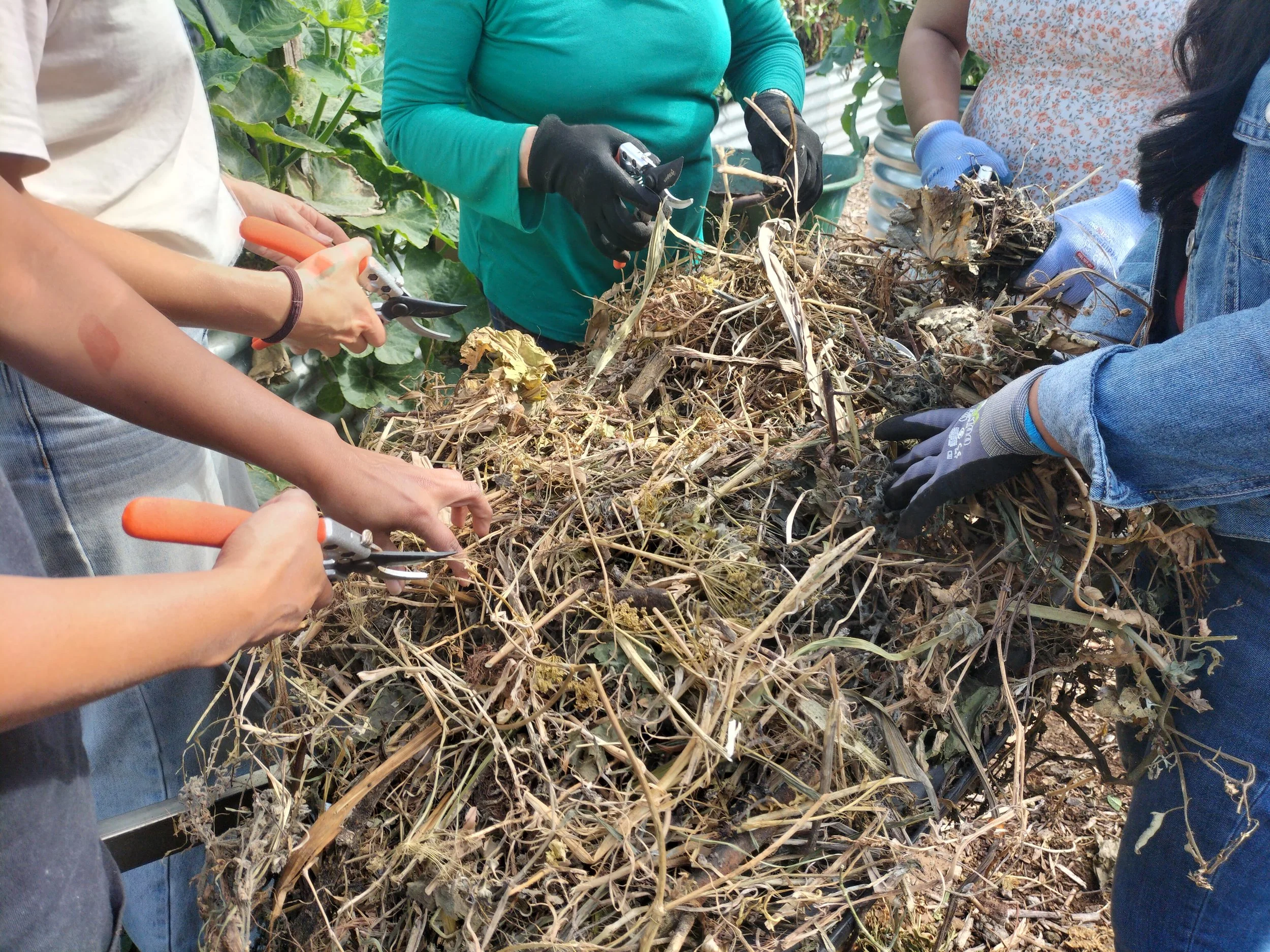 a group pf people around a wheelbarrow, chopping materials for compost making