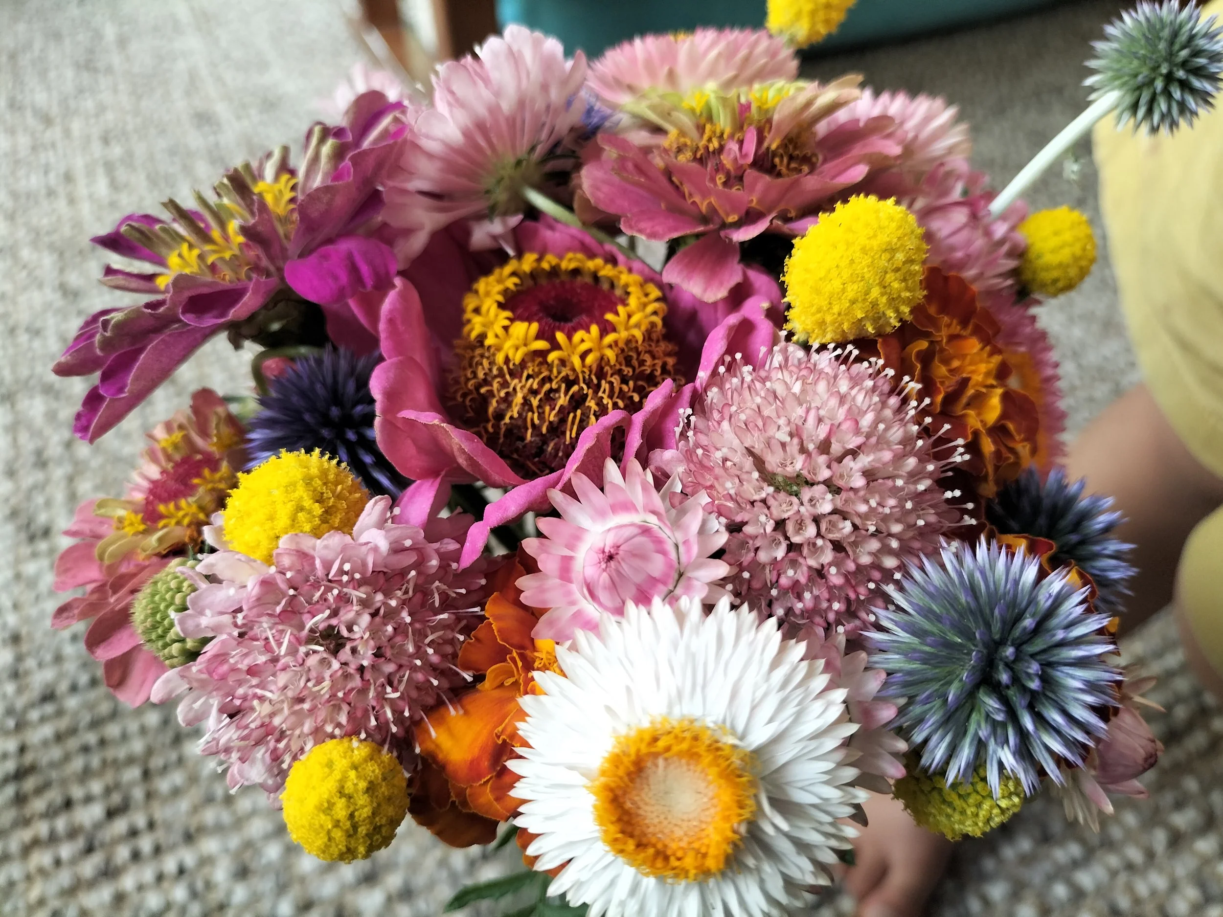 A bright bouquet of freshly grown flowers