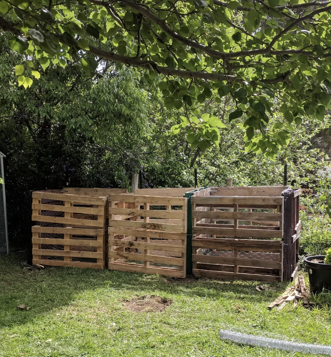Three large compost pallets under the trees