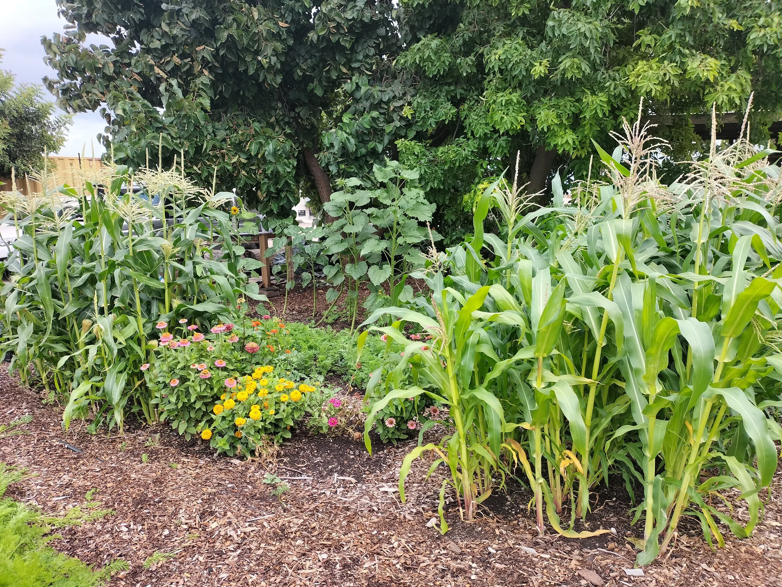 SA Composters demonstration garden