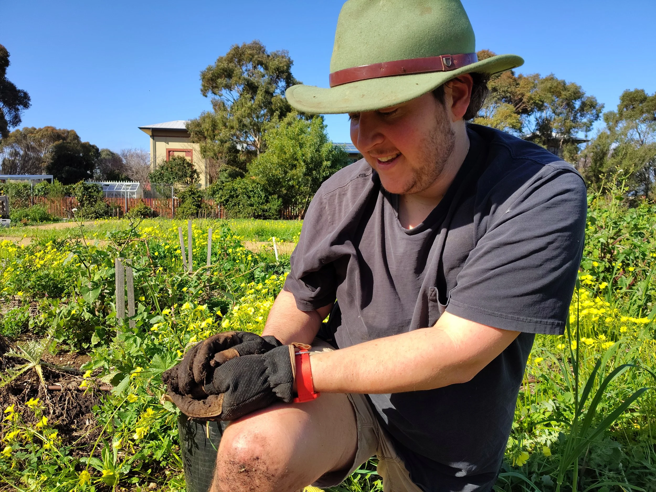 A person wearing a hat kneels in a field looking at their gloved hands, a tiny frog's head poking out