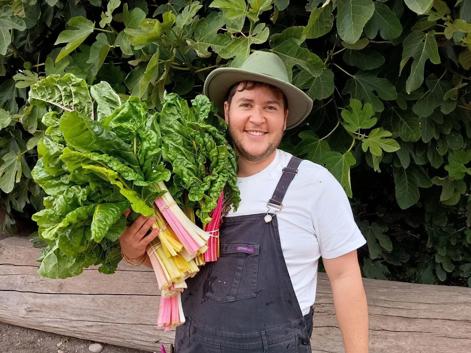 A person in a green outback hat and dark blue overalls holding a large bunch of rainbow chard. Behind them is a bushy fig tree